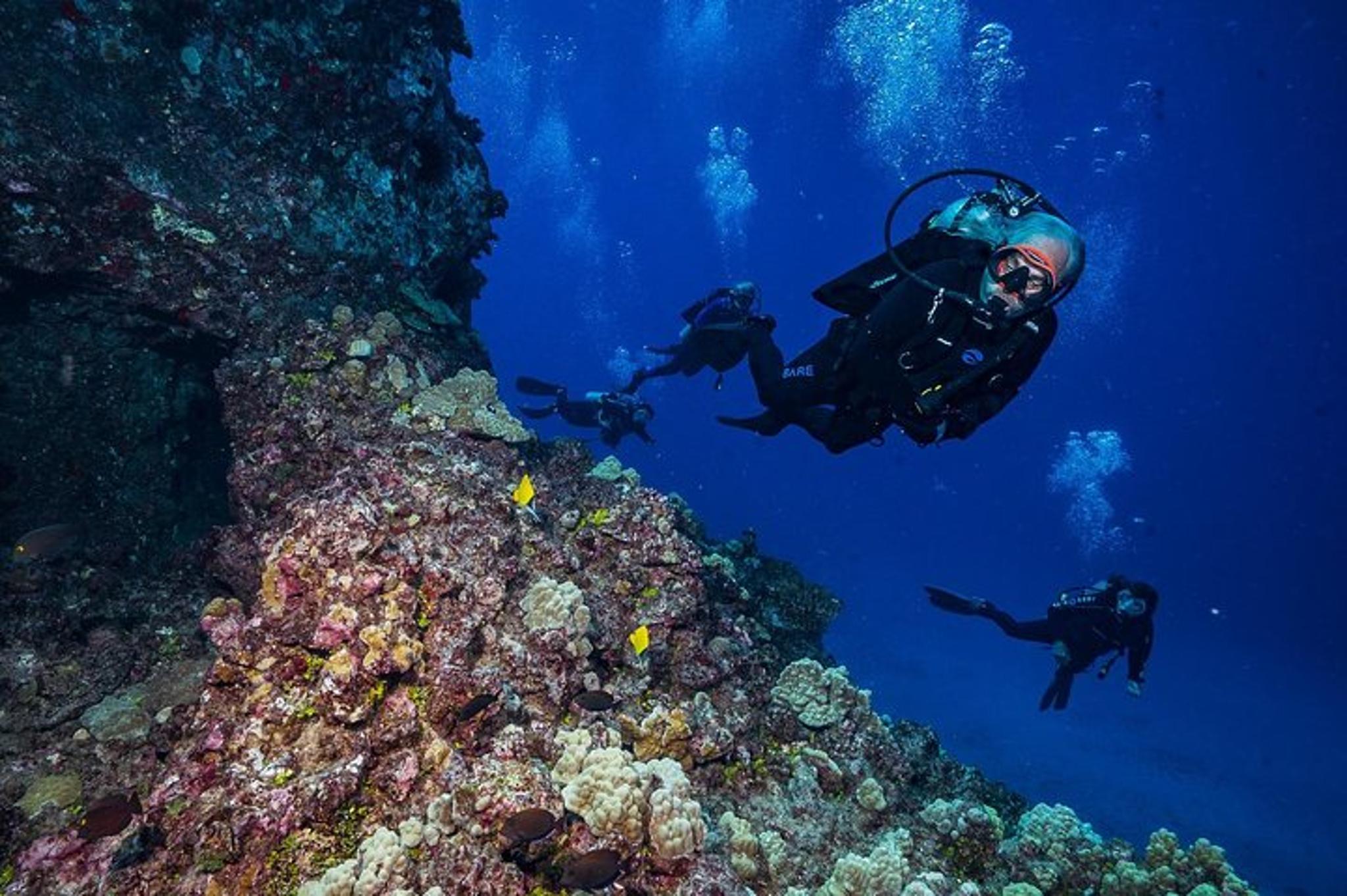 Lanai Cathedral Scuba Dive Via Boat - Image 5