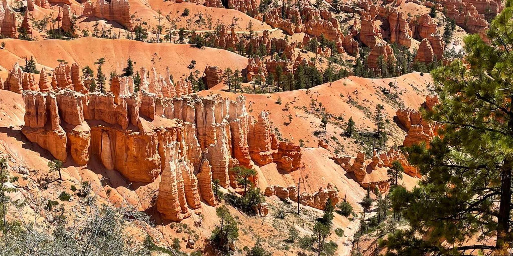 Las Vegas Bryce Canyon & Zion Day Trip - Image 4