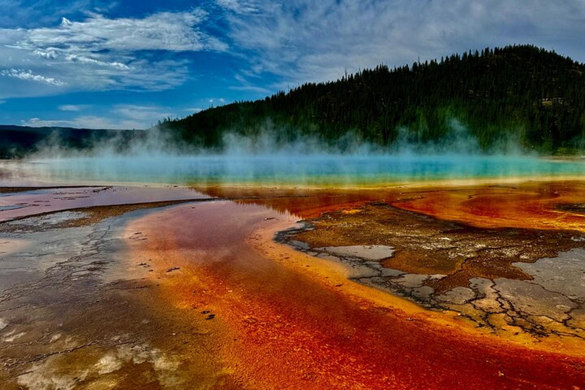 Yellowstone Glass Top Van Tour with Lunch - Image 6