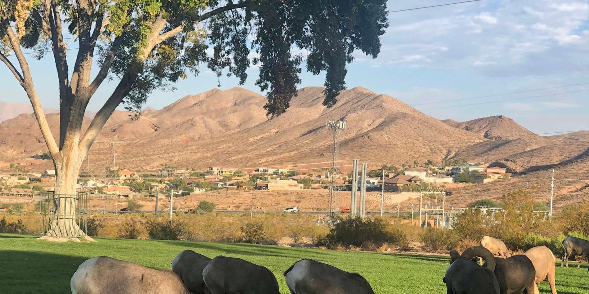 Las Vegas Grand Canyon Day Tour - Image 2