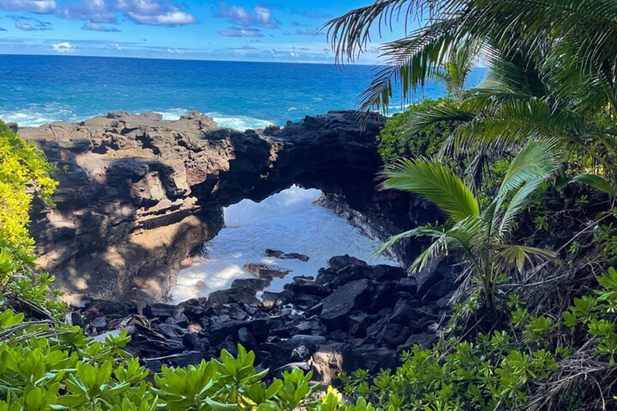 Big Island Custom Van Tour - Image 4