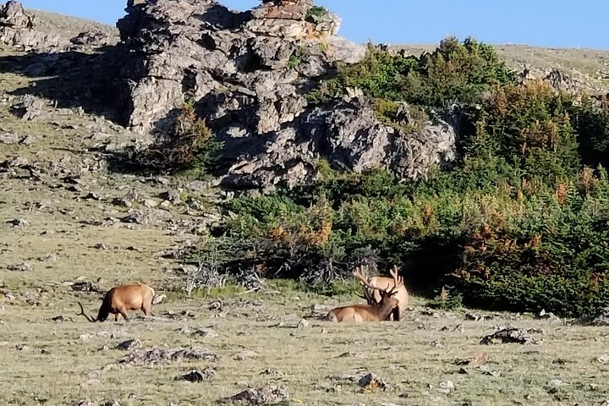 Rocky Mountain National Park to Grand Lake Tour - Image 3