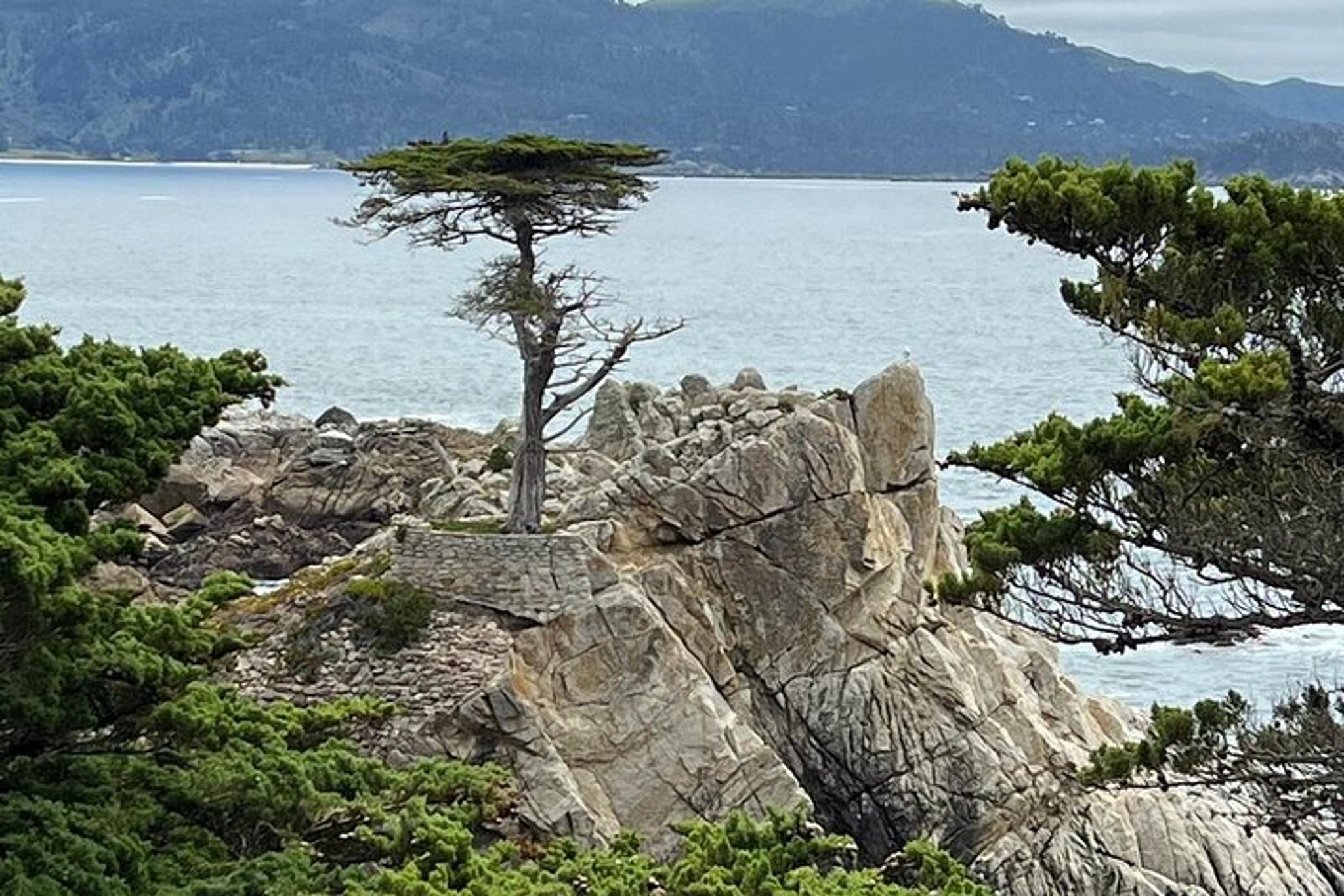 Monterey Private Tour of Big Sur and 17 Mile Drive - Image 3