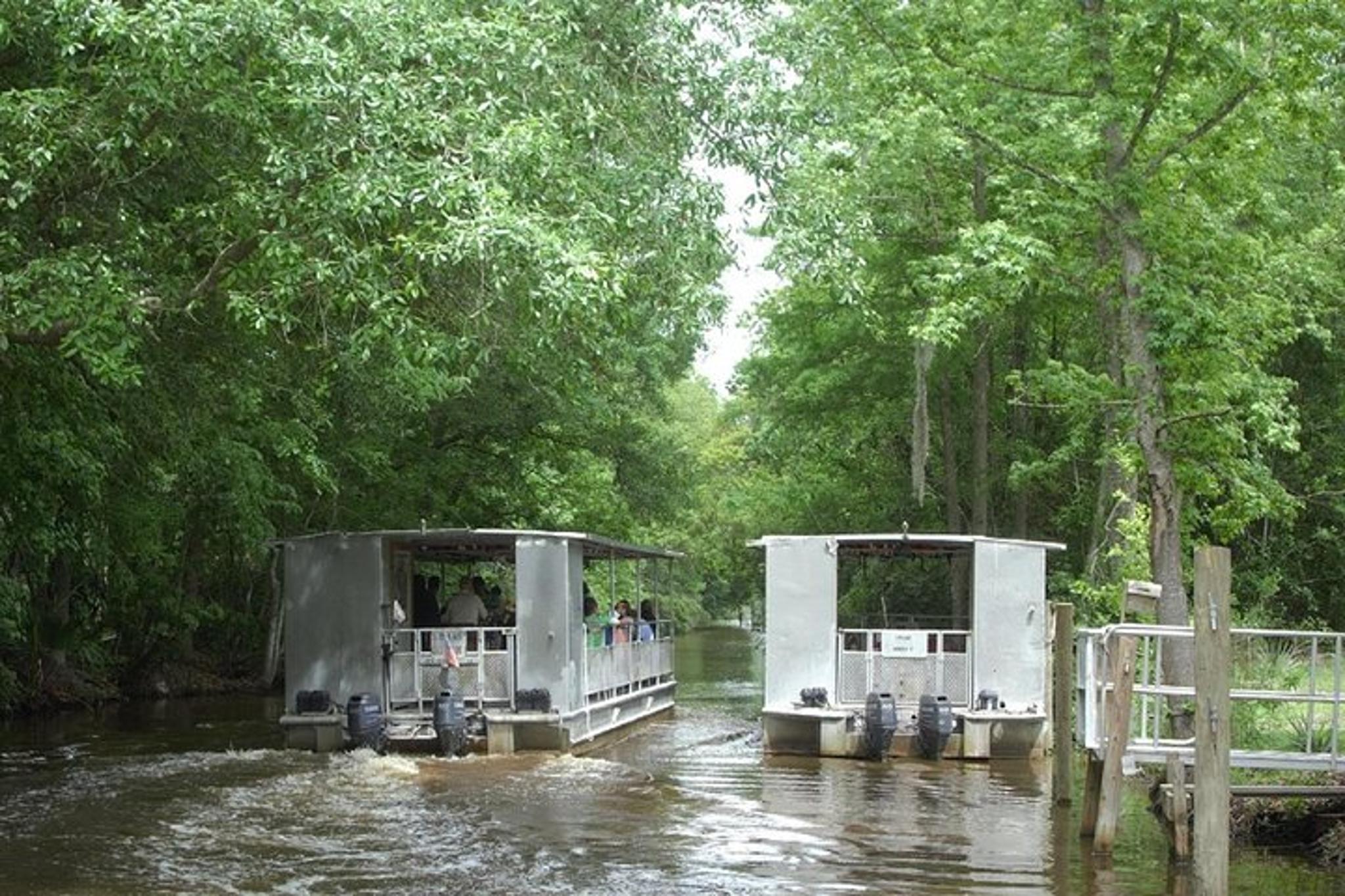 Marrero Swamp and Bayou Boat Tour 90 Min - Image 2