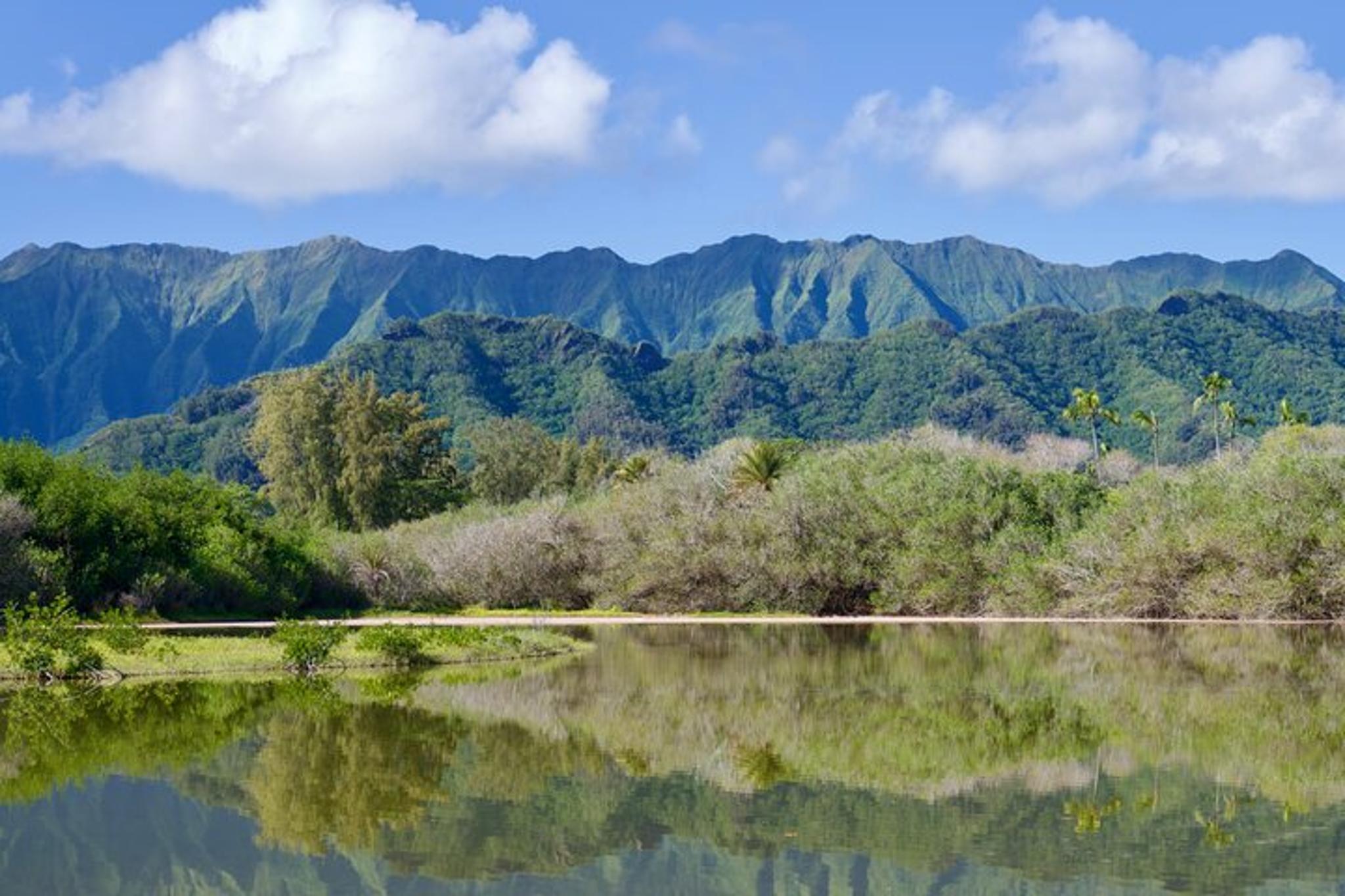 Oahu Private Tour for Up to 4 Guests - Image 5