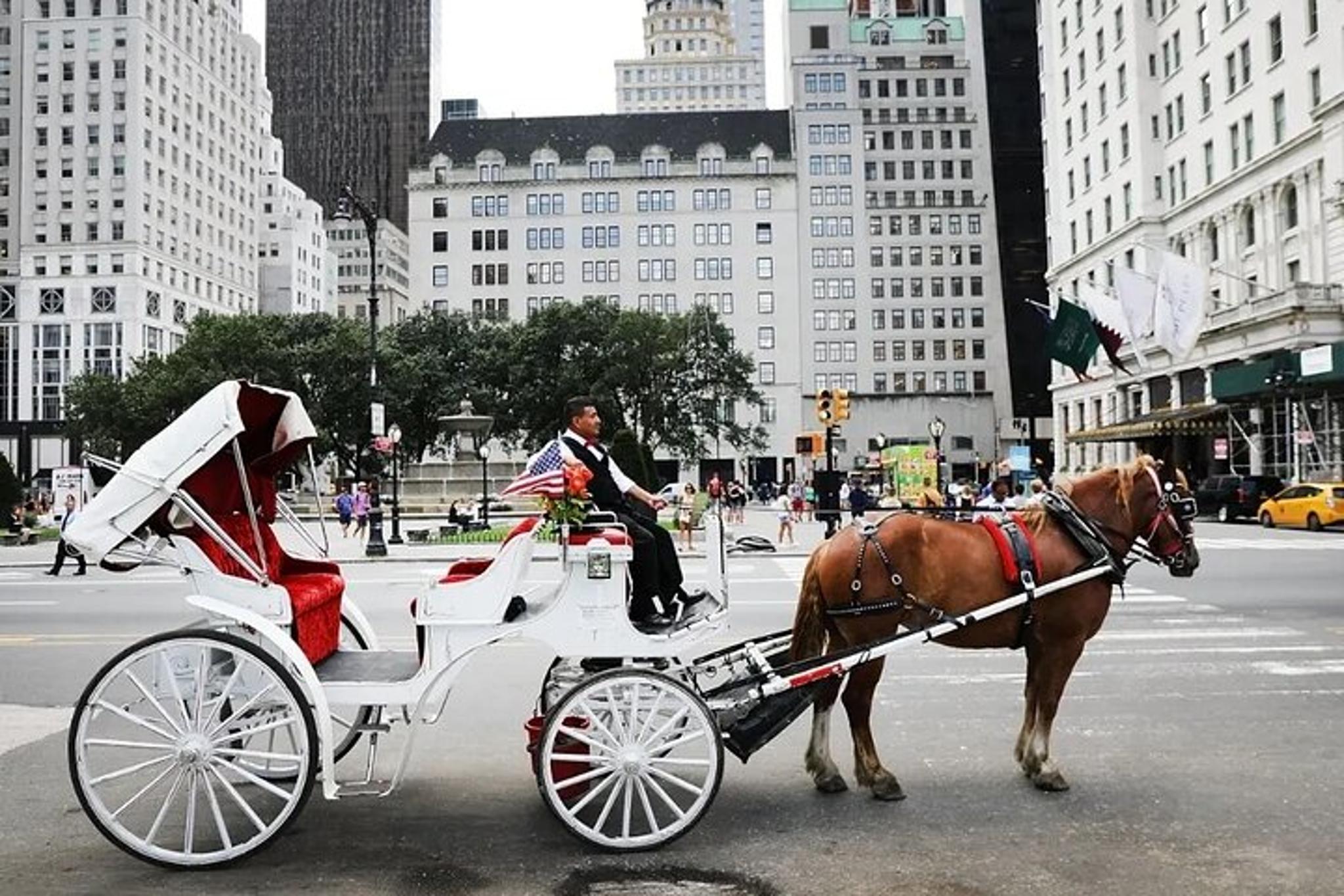 New York City Horse Carriage Ride in Central Park