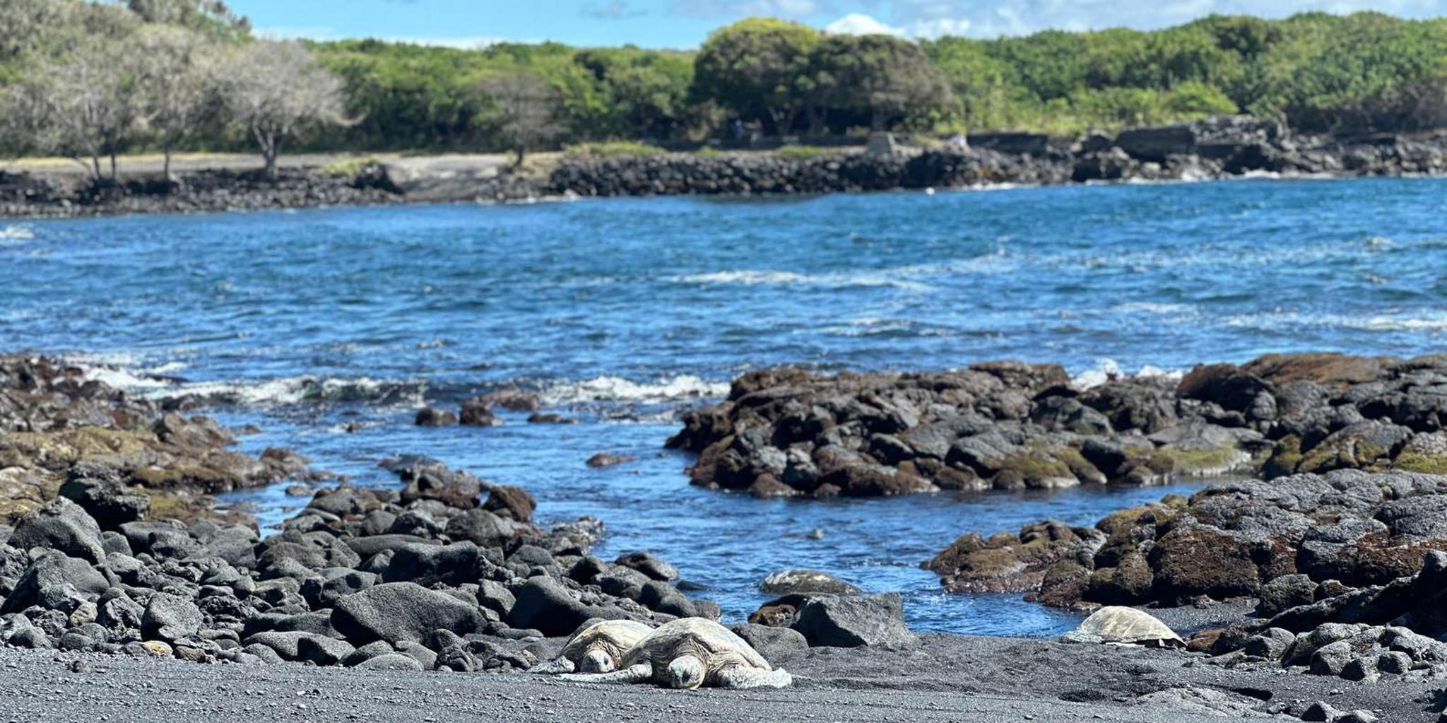Hilo Volcano and Black Sand Beach Tour - Image 6