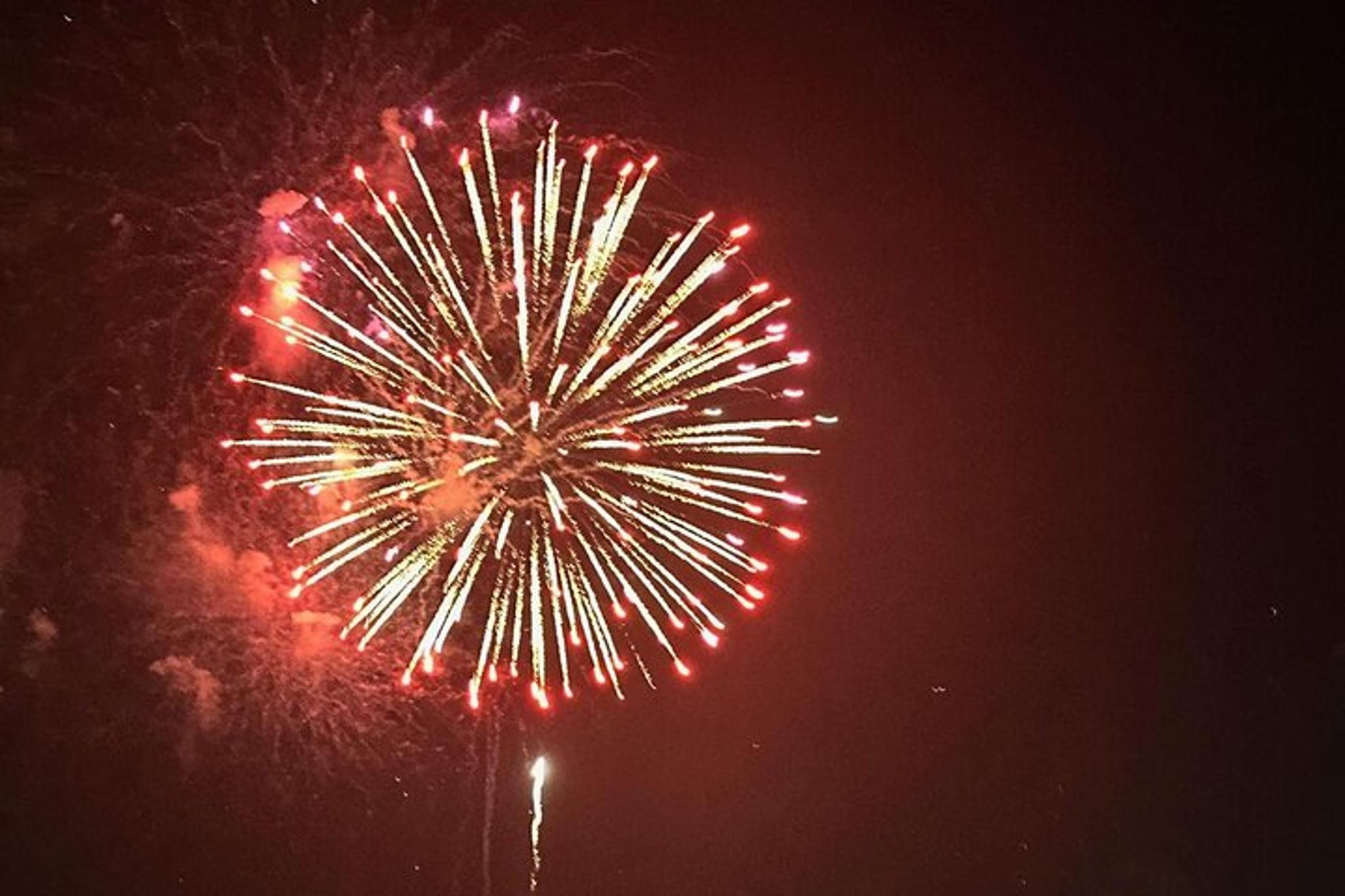 NYC Fireworks Cruise over Statue of Liberty - Image 6