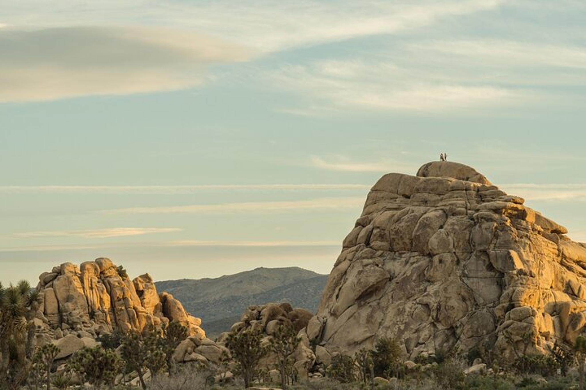 Joshua Tree Hidden Valley Self-Guided Walking Tour - Image 3