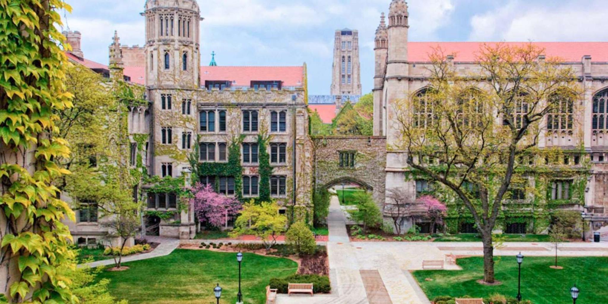 Chicago Architecture and Aesthetics Tour - Image 6