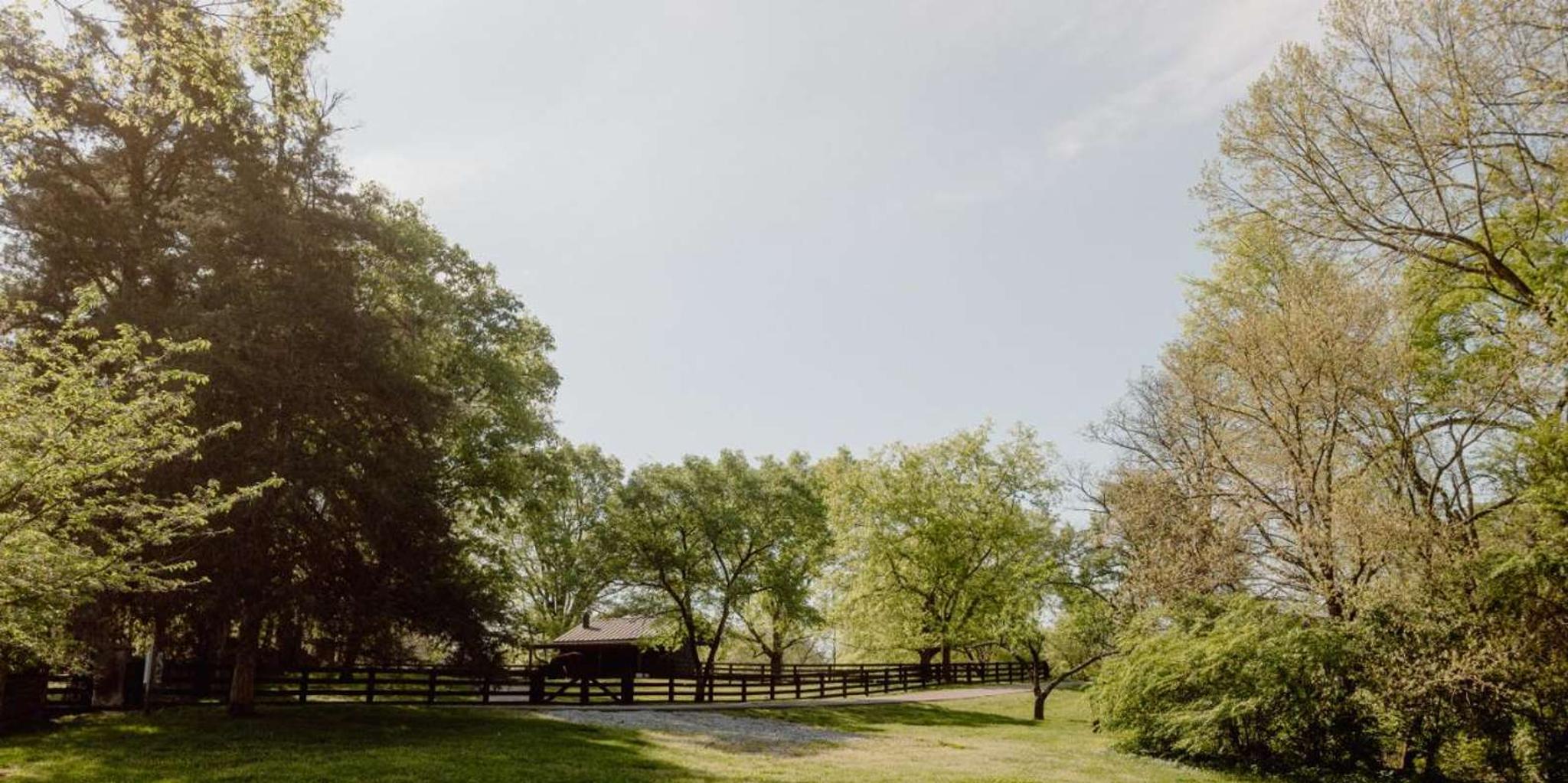 Nashville Civil War Walking Tour at Belle Meade - Image 5