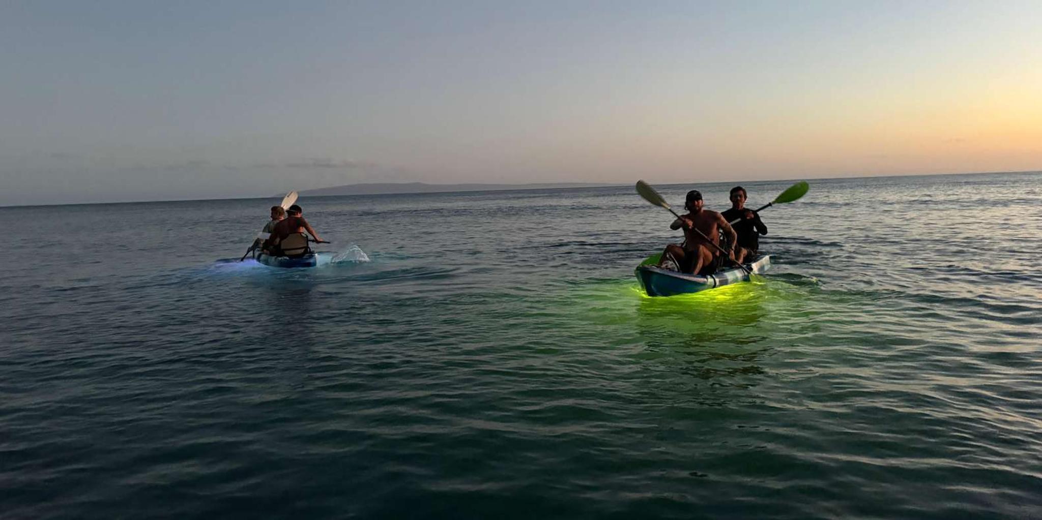 Maui Kayak Tour at Sunset - Image 4