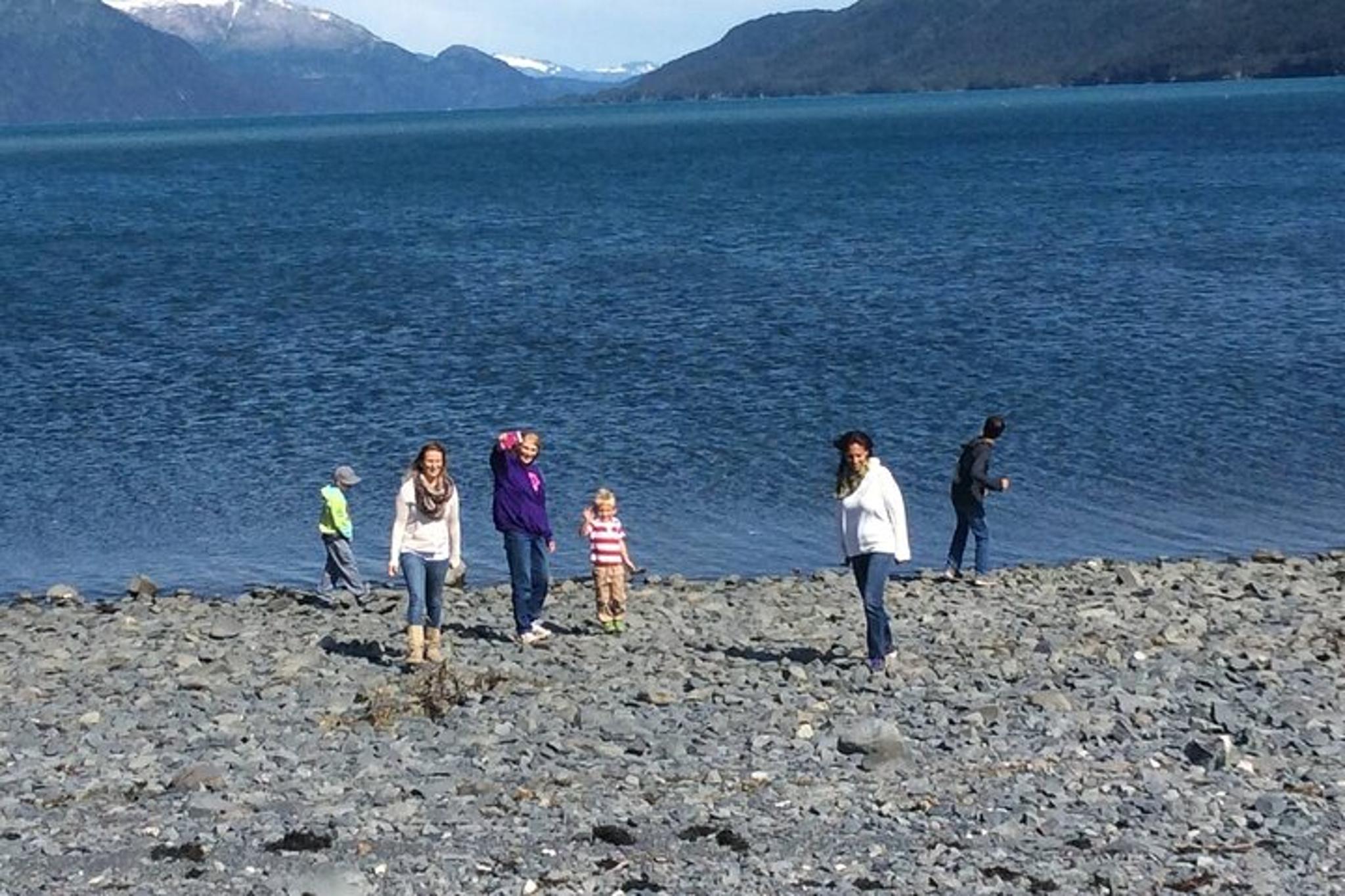 Whittier to Anchorage Wildlife Sightseeing Tour - Image 5