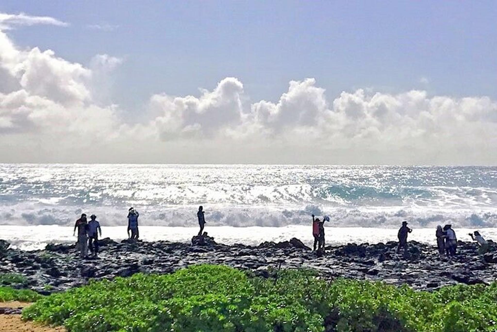 Oahu Island Sightseeing and Food Tour - Image 5