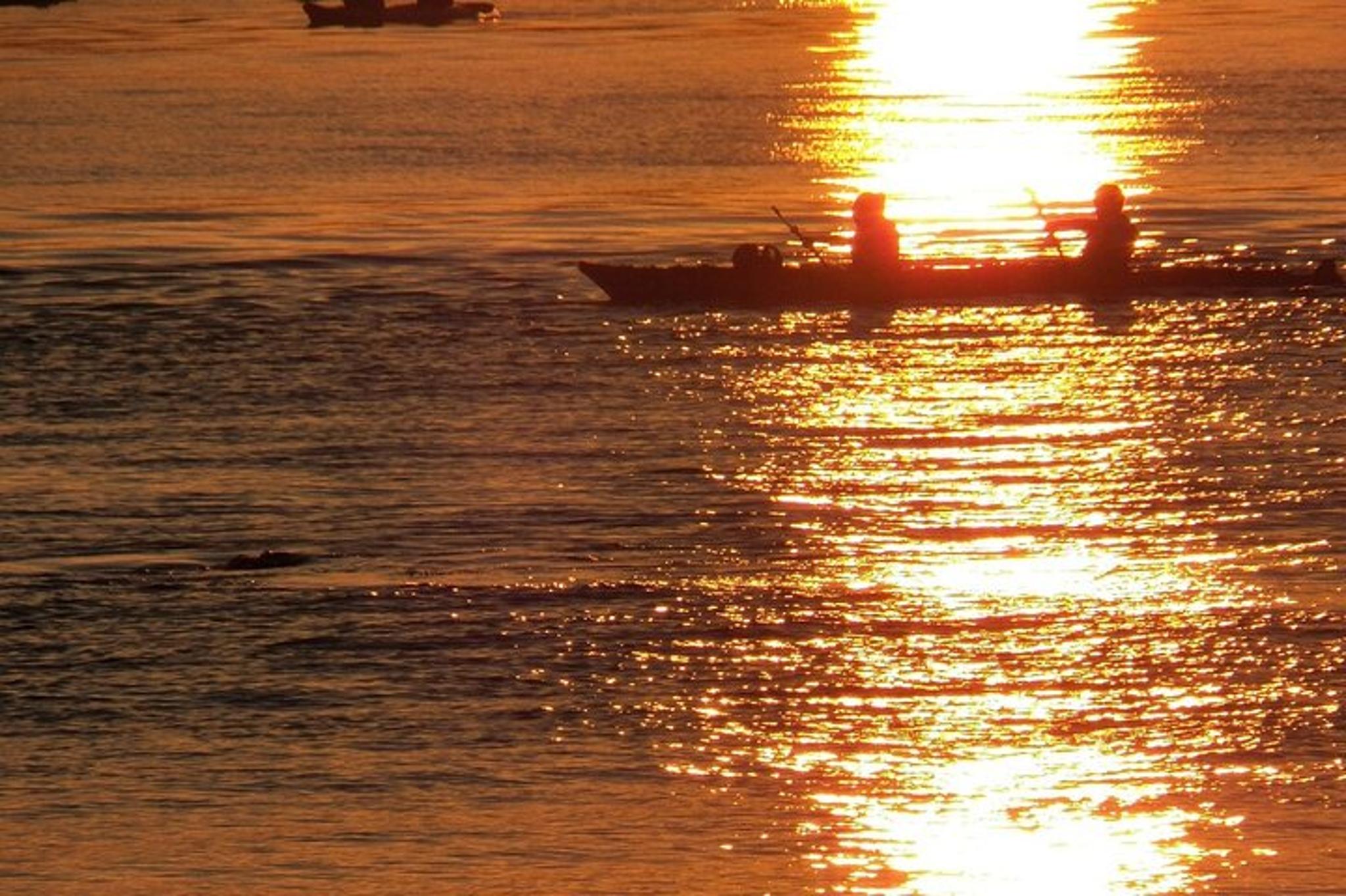 Bay Sunset Sightseeing Cruise - Image 5