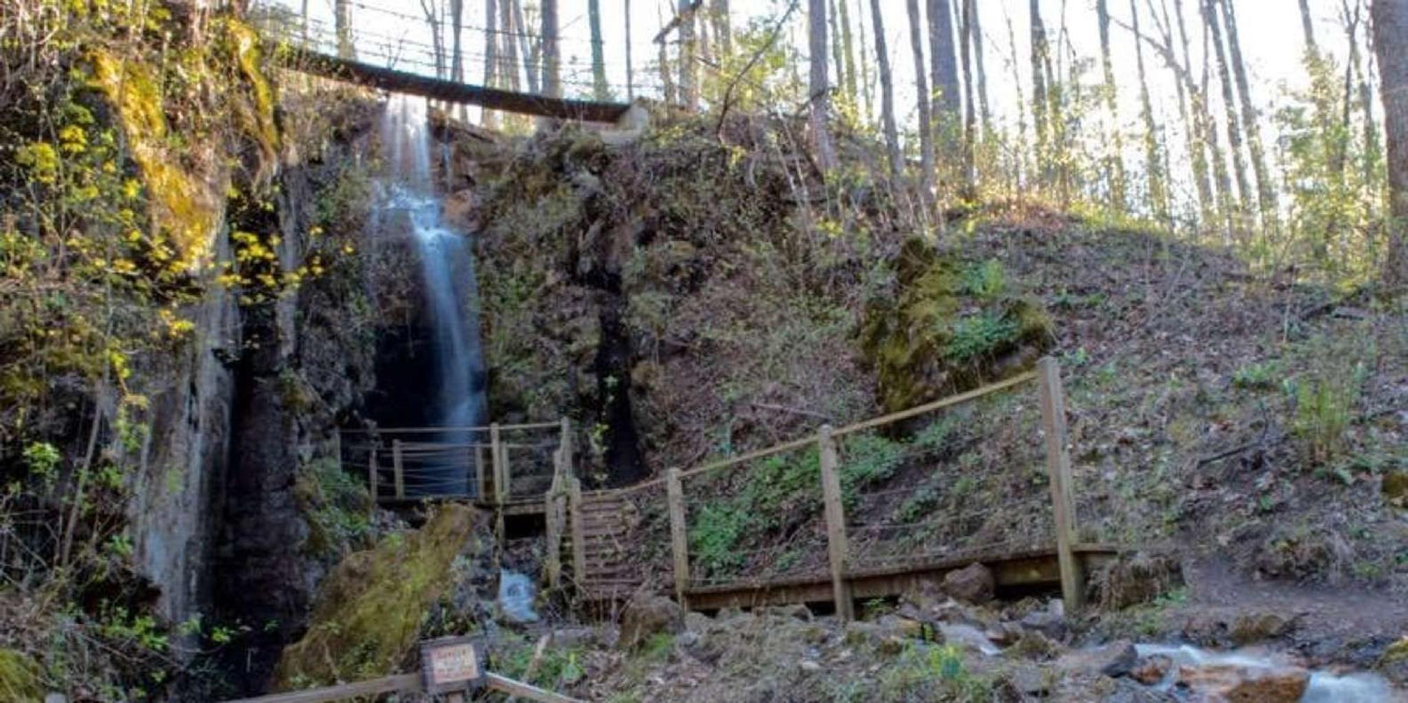 Sevierville Hiking & Swinging Bridge Adventure - Image 5
