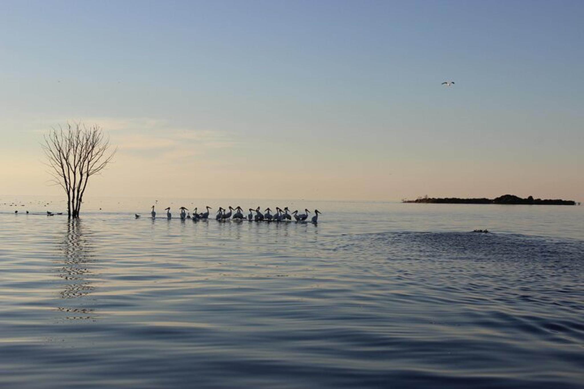 Fish Creek Lighthouse Cruise - Image 2