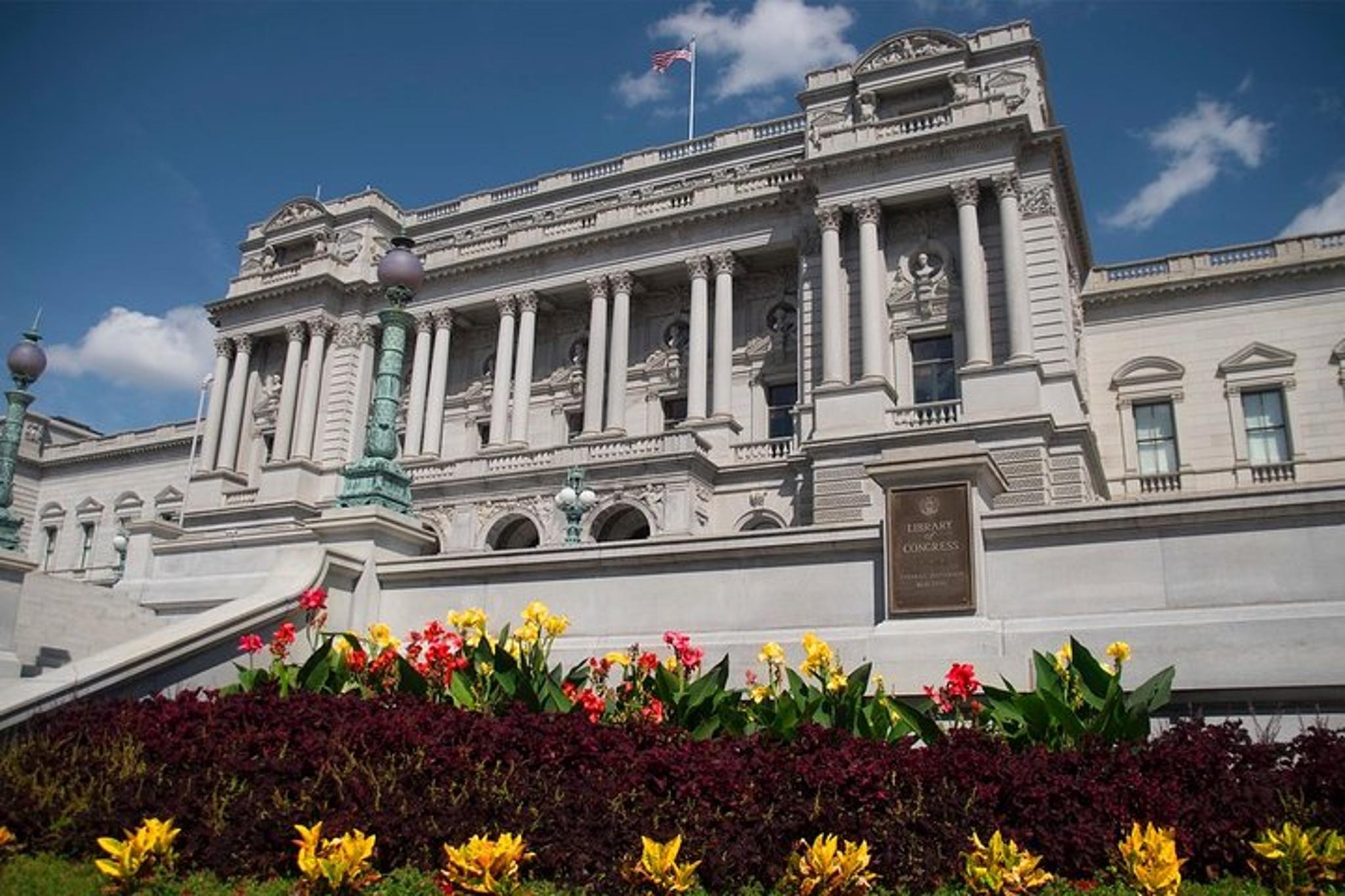 Washington Walking Tour with Official Guide 4 hr - Image 3
