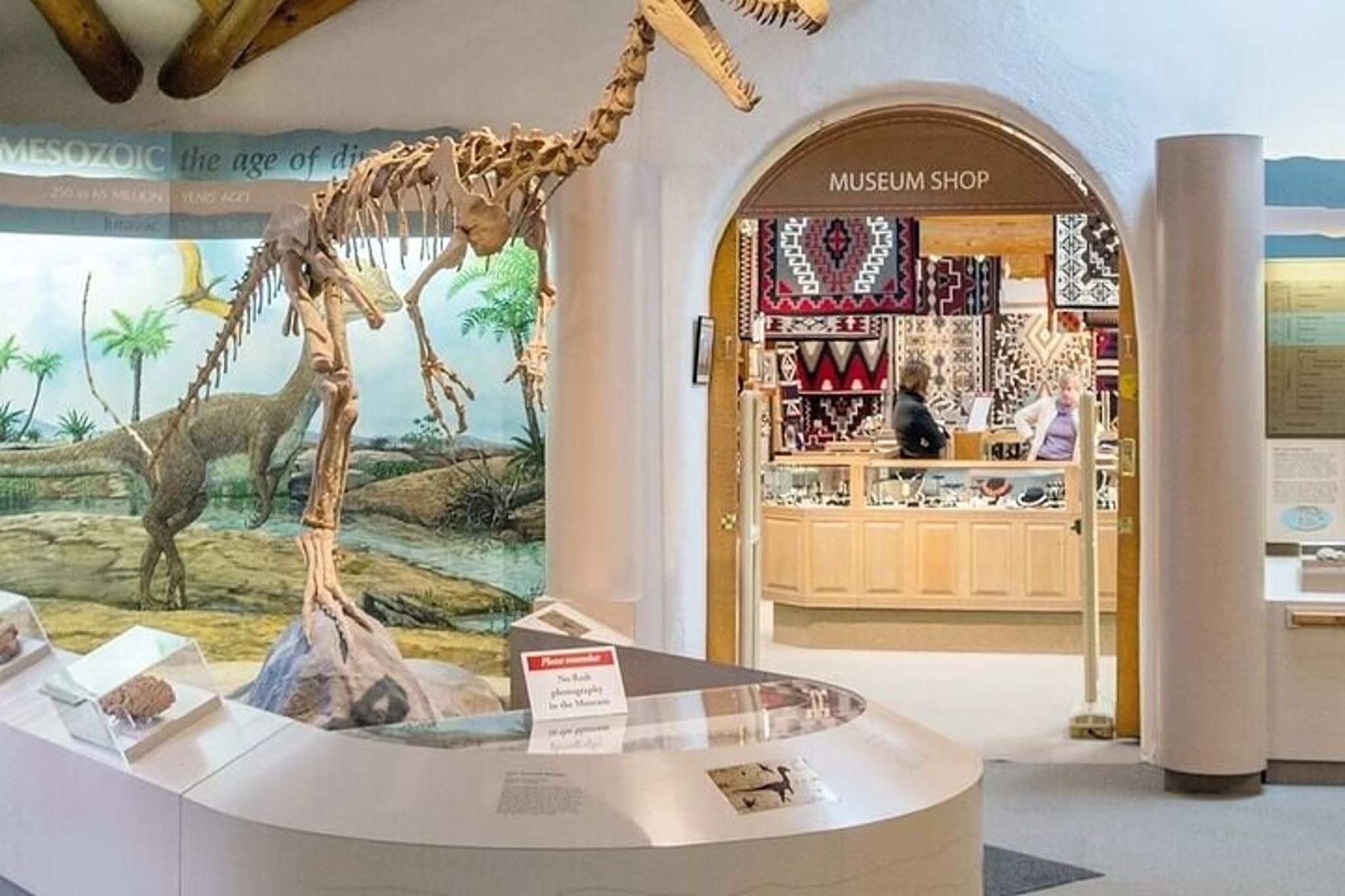 Phoenix to Flagstaff Day Tour - Image 6