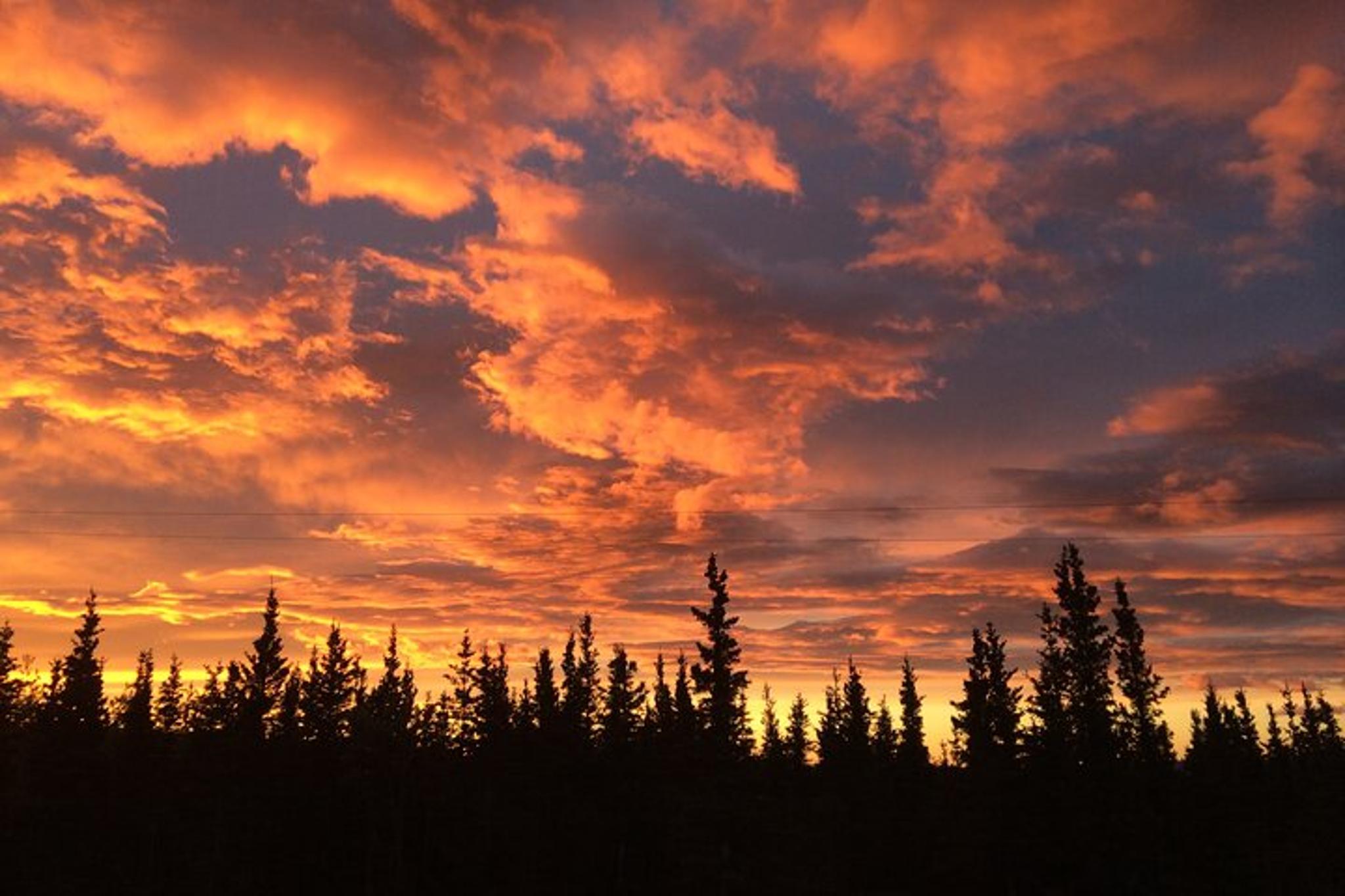 Healy ATV Adventure at Midnight Sun 2.5 hr - Image 3
