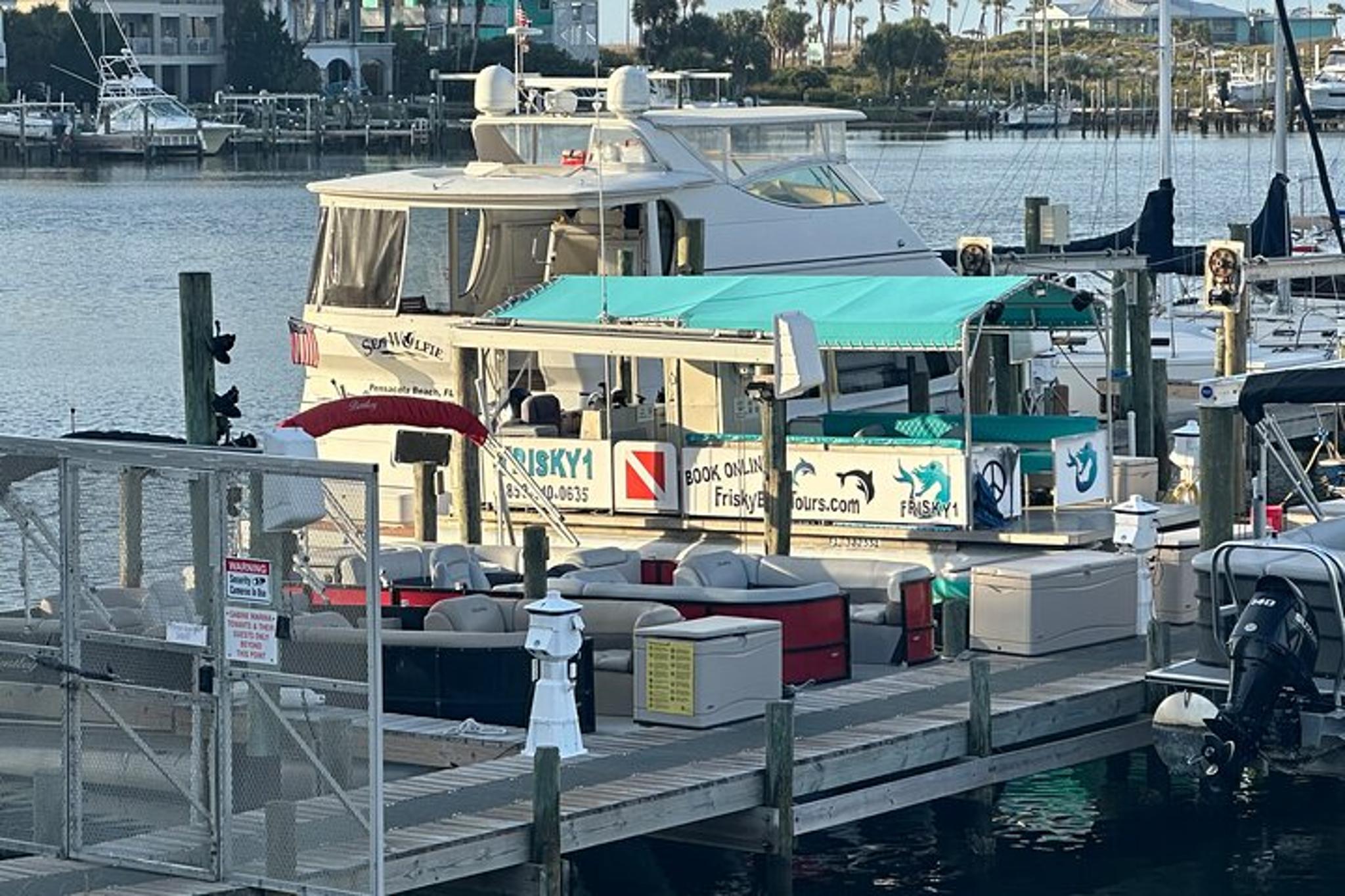 Pensacola Bay Cruise and Snorkeling - Image 2