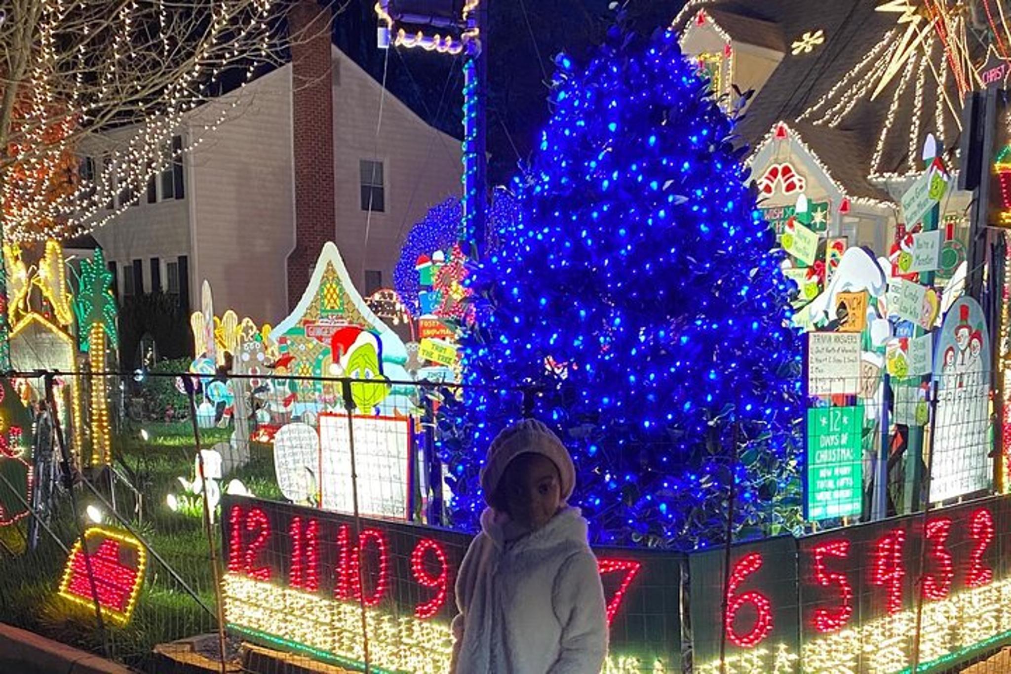 Richmond Holiday Lights Tour - Image 3