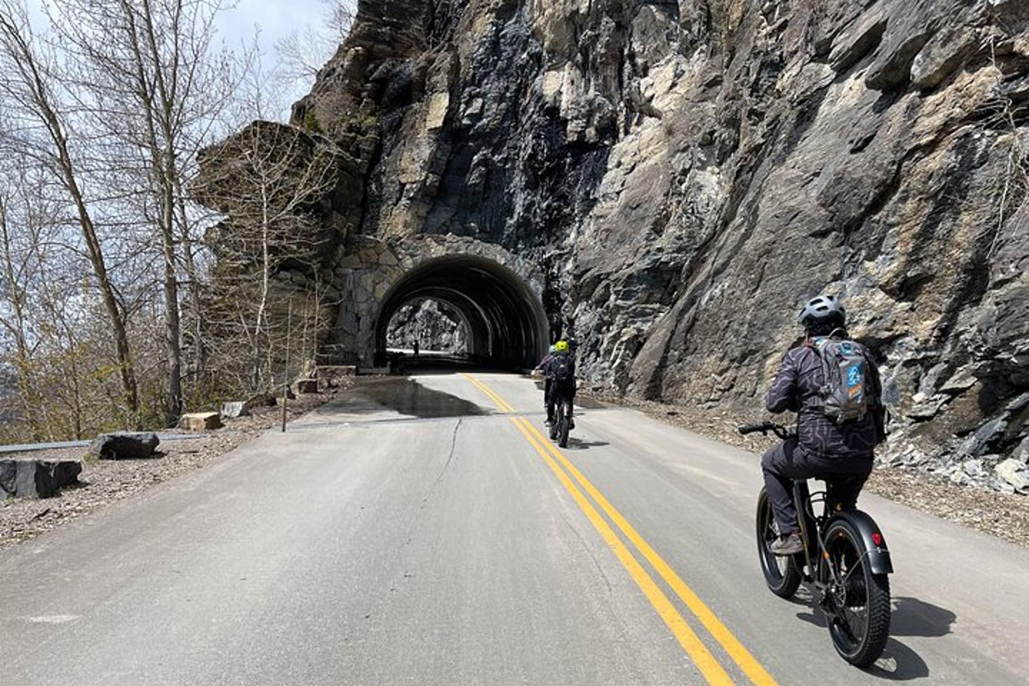 Whitefish E-Bike Rental in Flathead Valley - Image 3