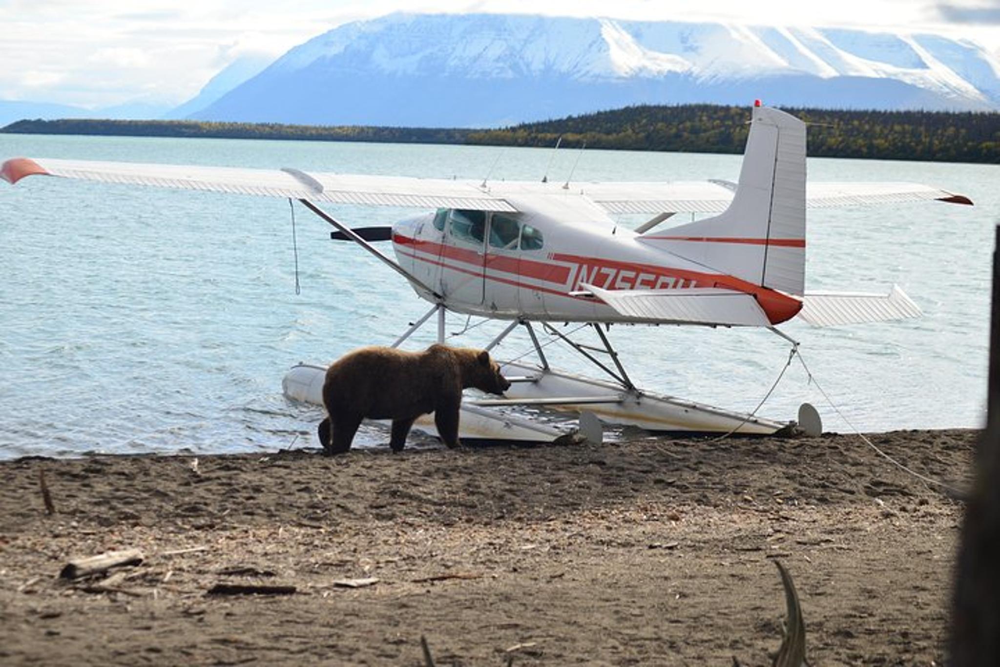 Katmai Bear Viewing Float Plane Tour - Image 4
