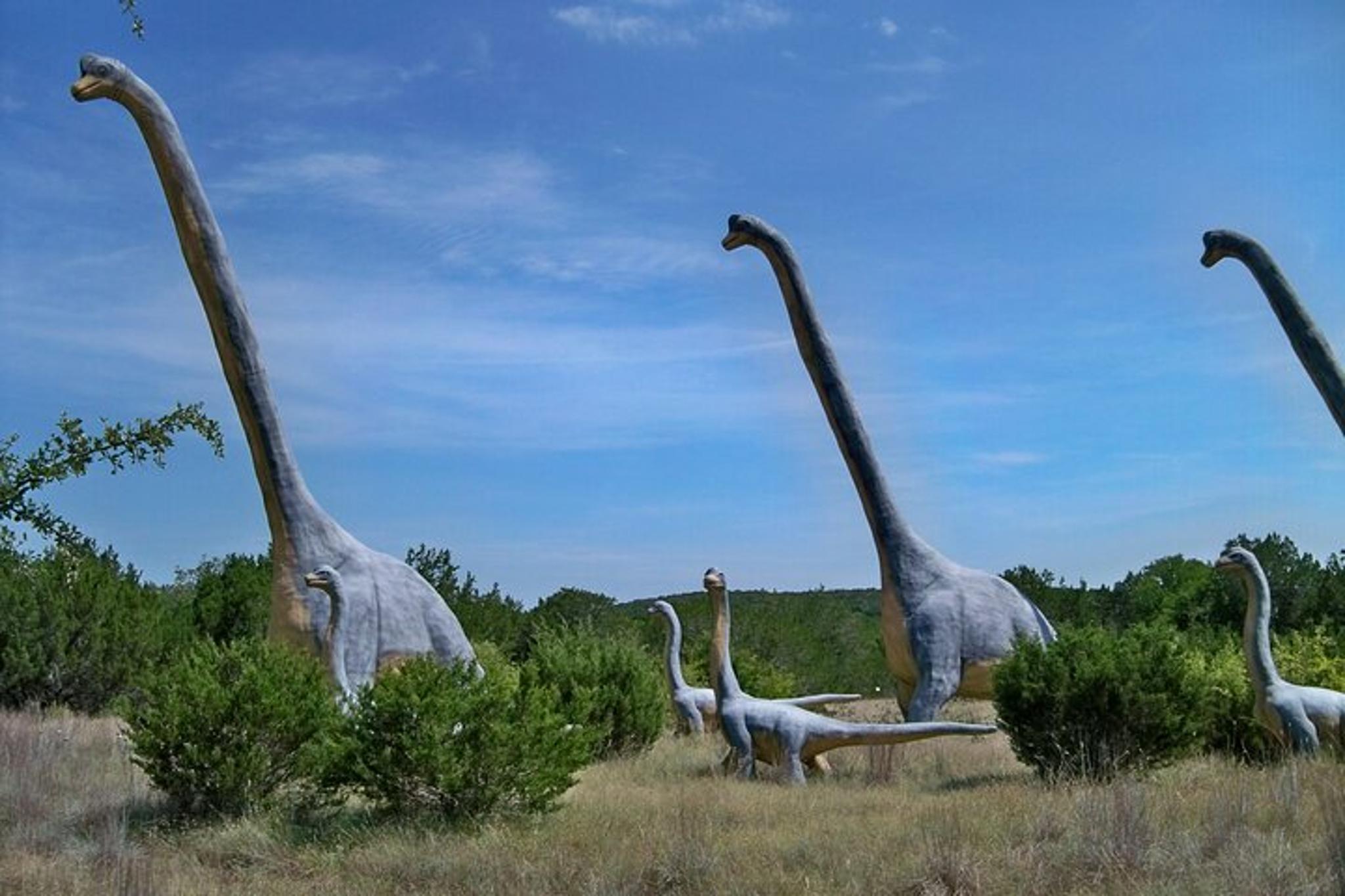 Glen Rose Dinosaur World - Image 2