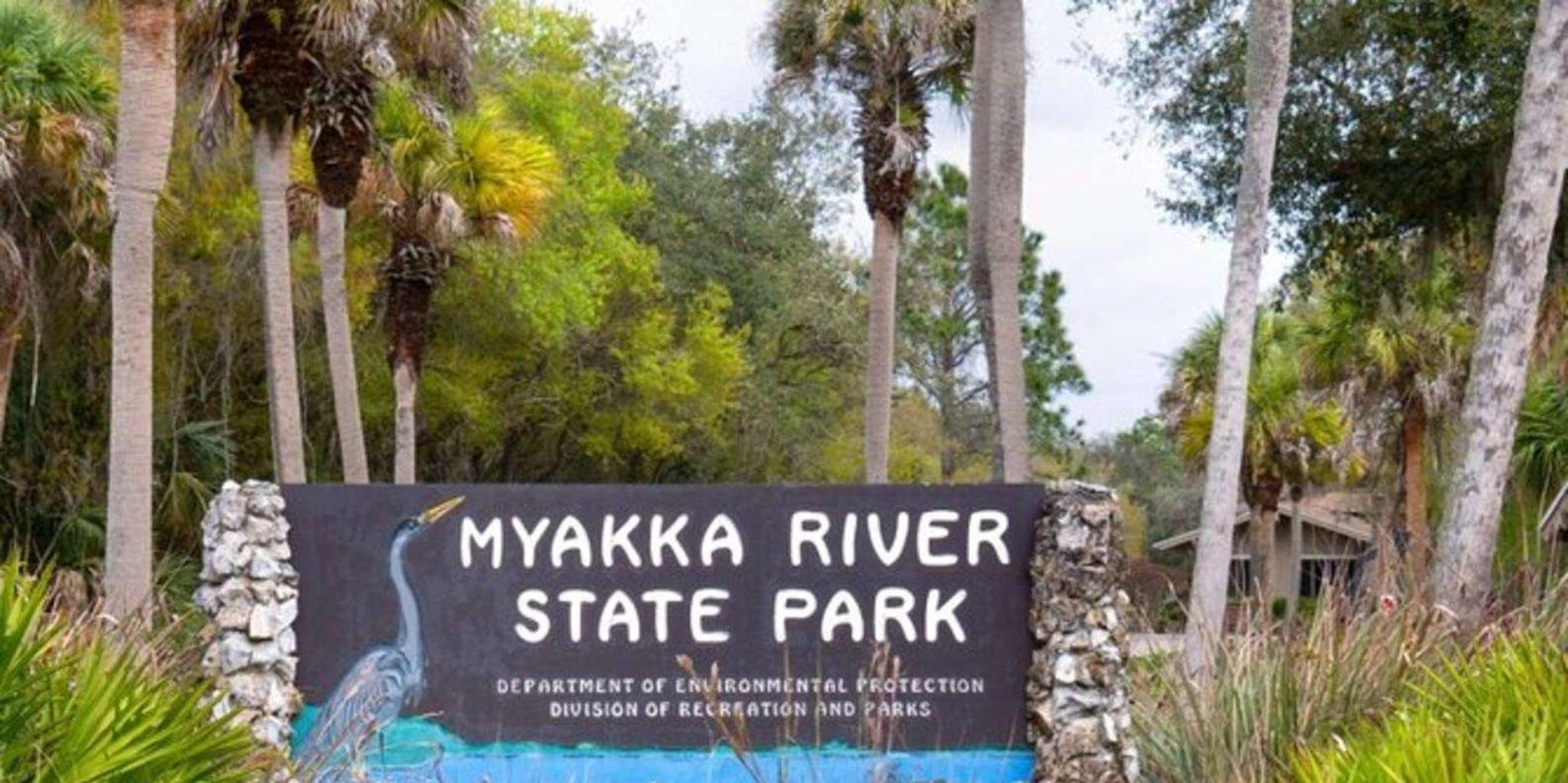 Sarasota Myakka State Park E-bike Safari 2.5 hr - Image 3