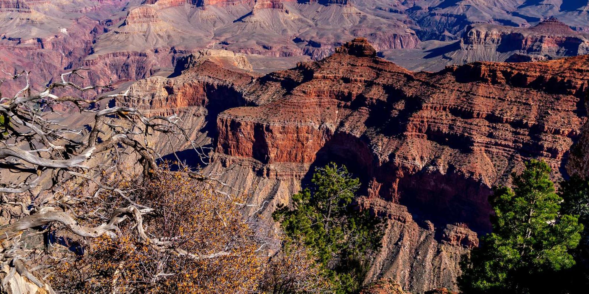 Flagstaff Grand Canyon Sightseeing Tour - Image 1