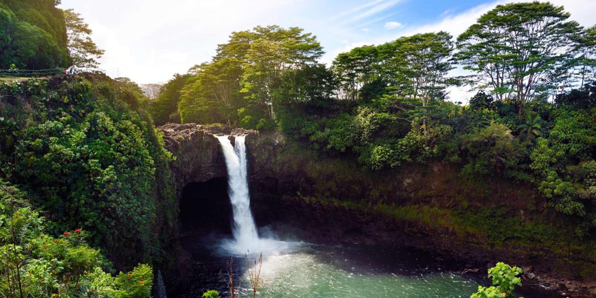 Hilo Volcano and Waterfall Tour with Lunch