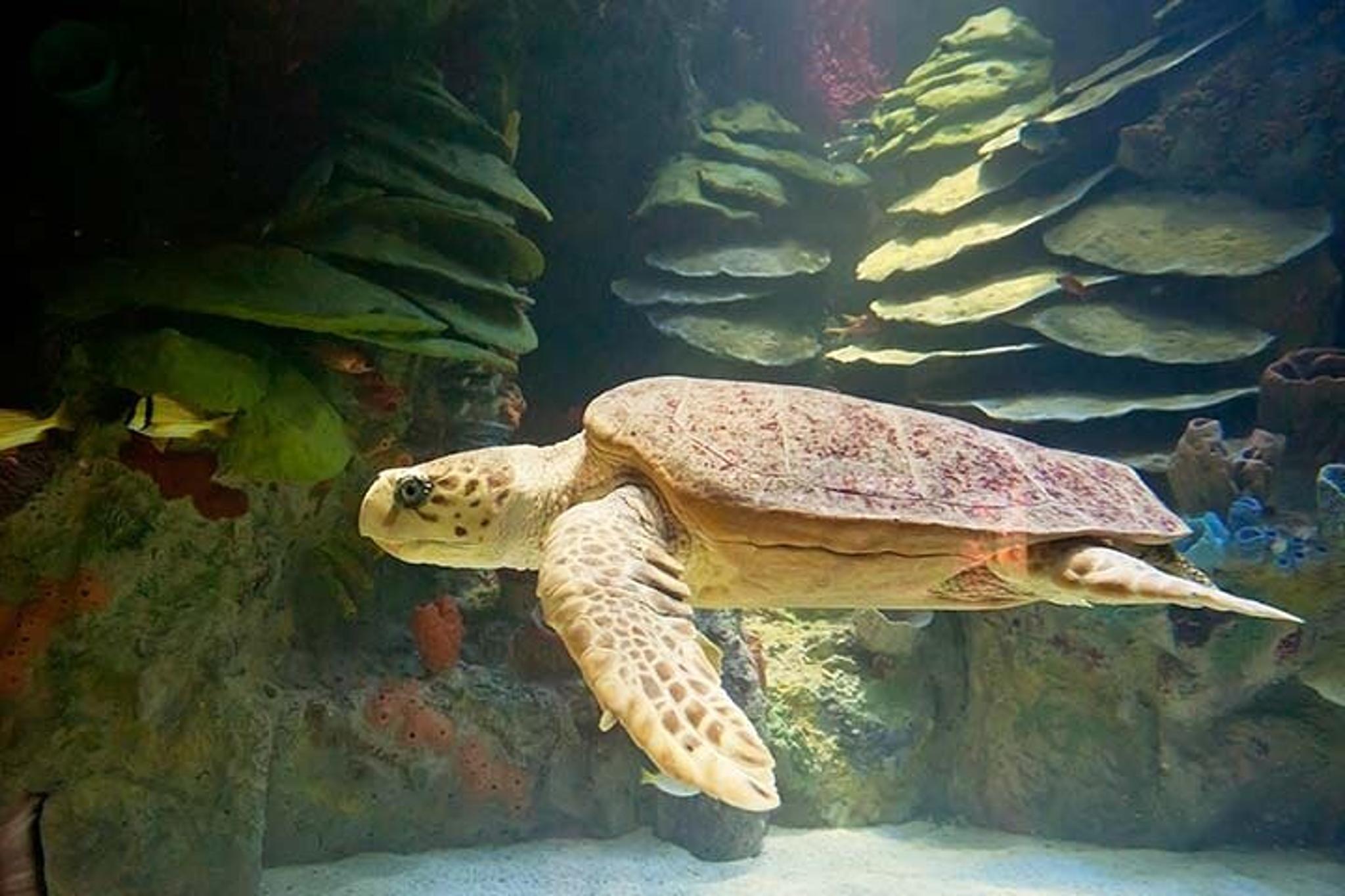 Boston to Acadia National Park 3-Day Tour - Image 4