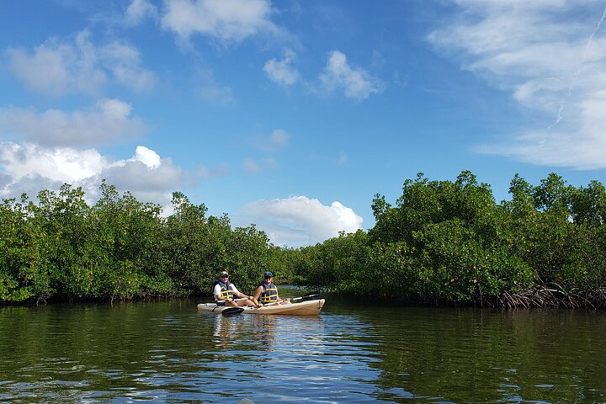 New Smyrna Beach Kayaking Ecotour - Image 6