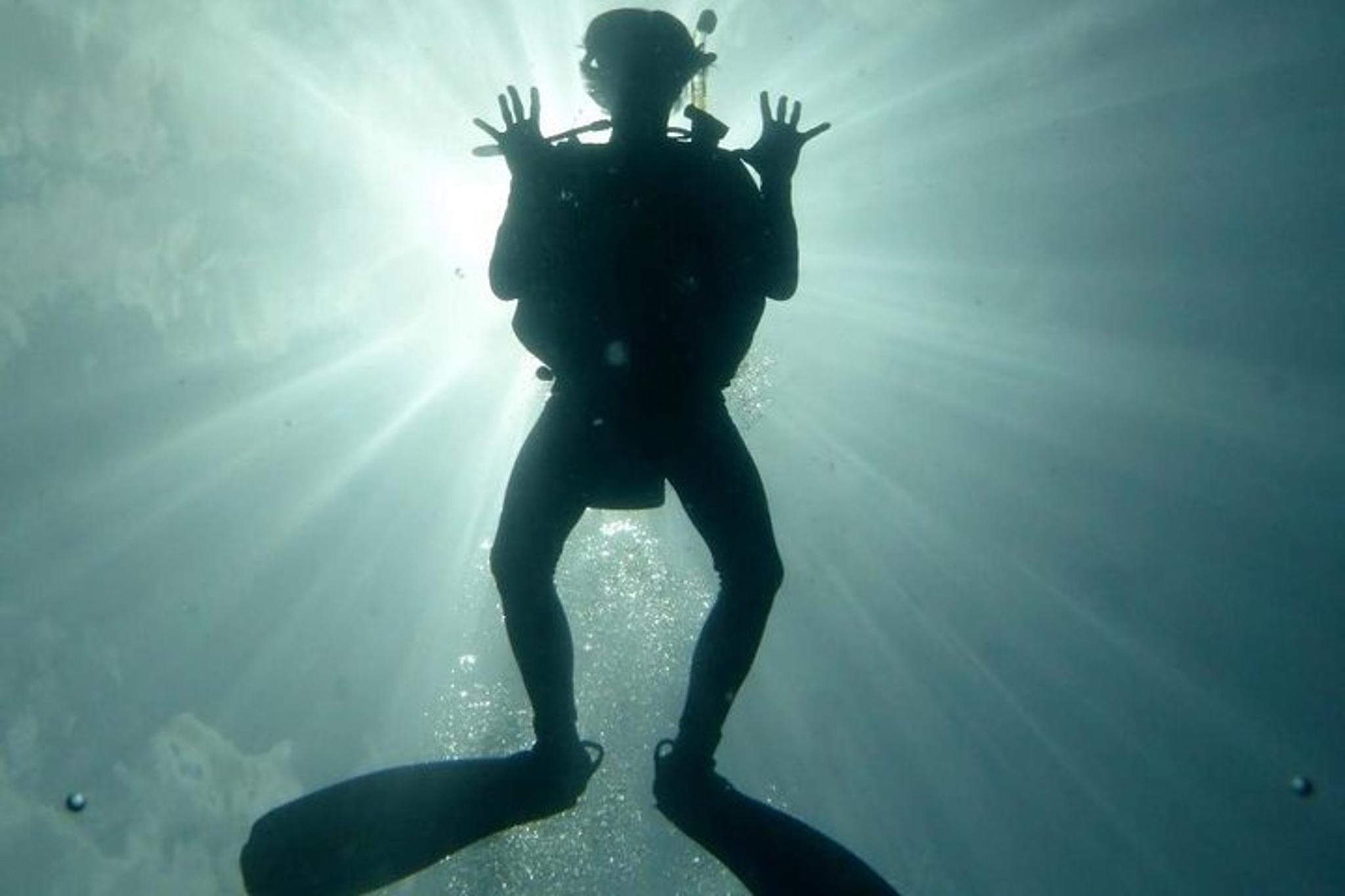 Makena Wailea Underwater Scooter Dive - Image 4