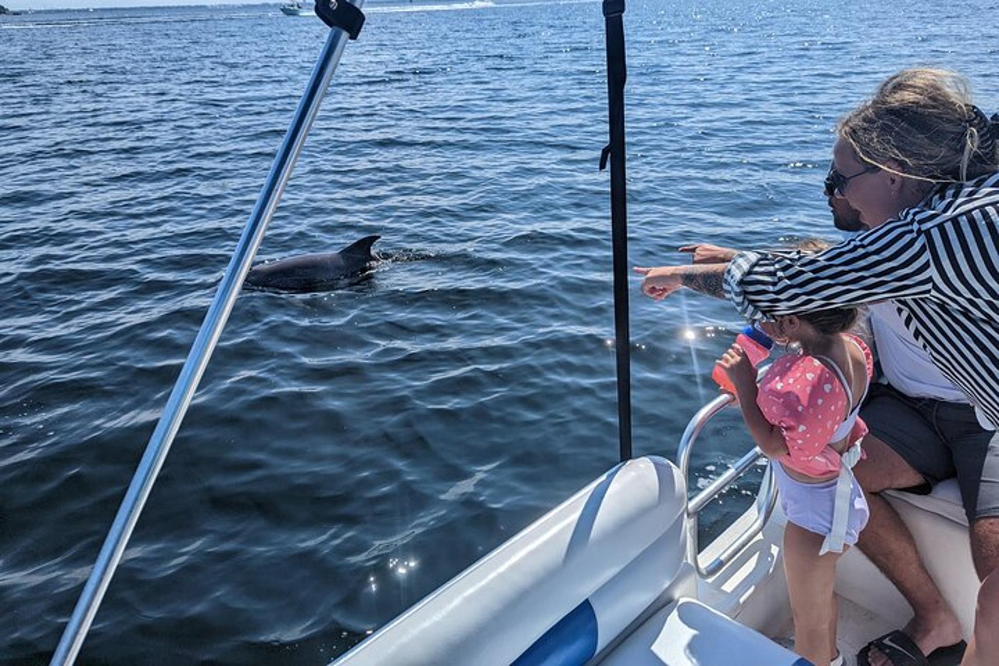 Panama City Dolphin Tour with Marine Biologist 3 hr - Image 3