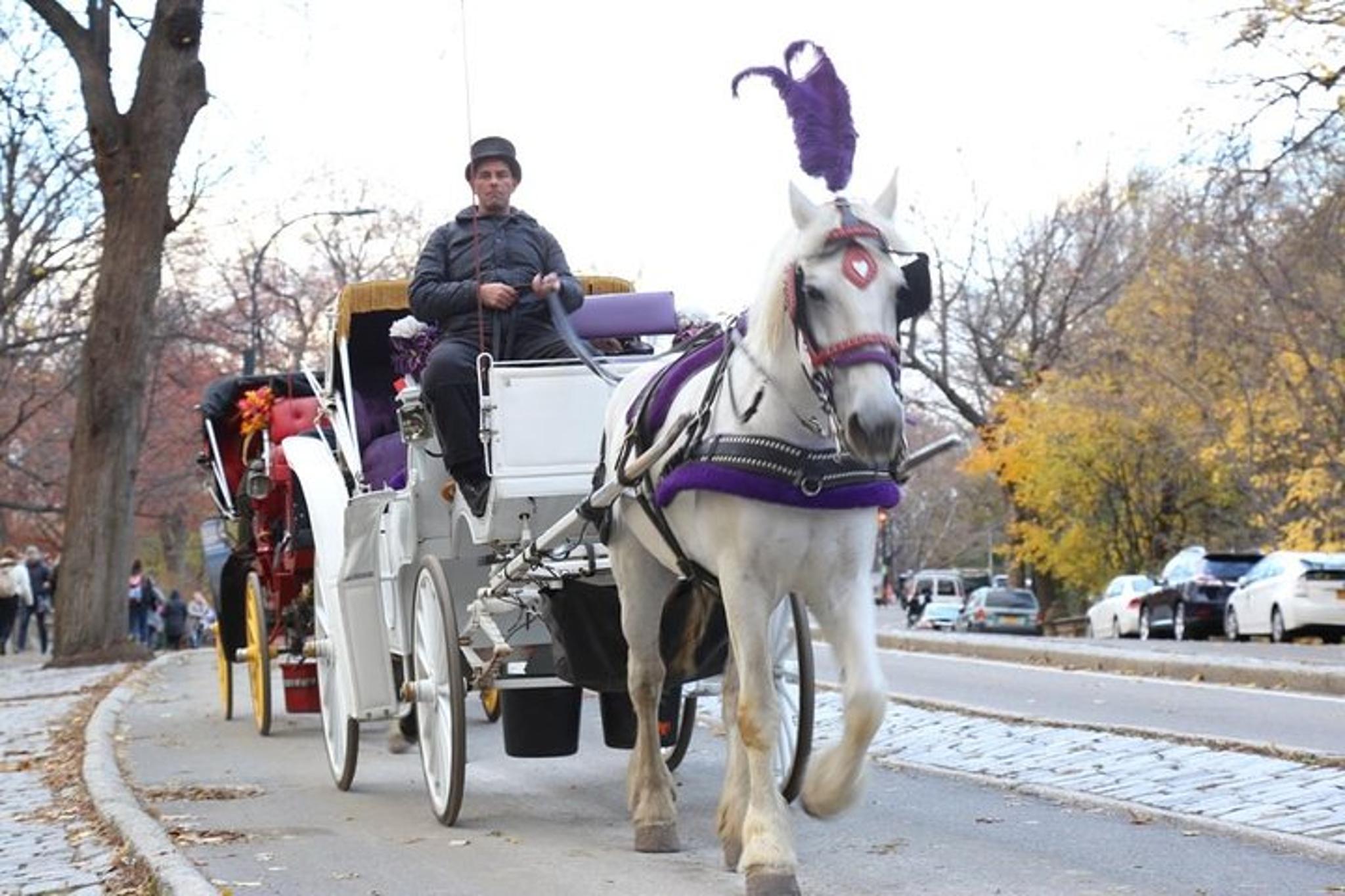 New York City Horse Carriage Tour Central Park