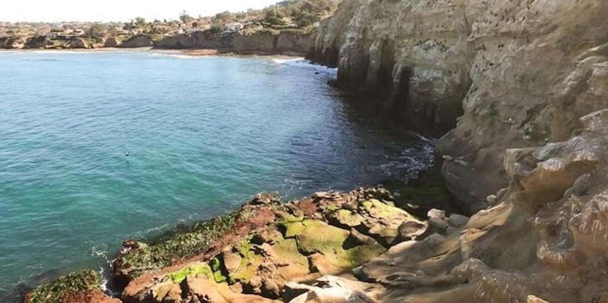 San Diego Snorkeling Tour at La Jolla Cove - Image 6