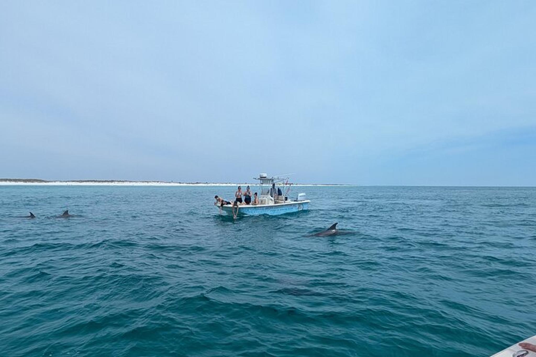 Panama City Dolphin Sightseeing Adventure - Image 5