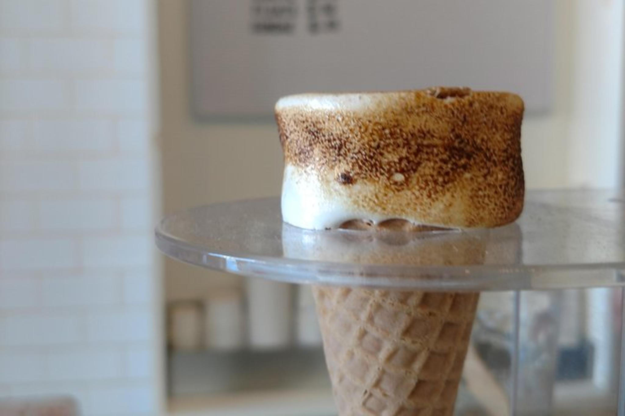 Somerville Neighborhood Food Tour