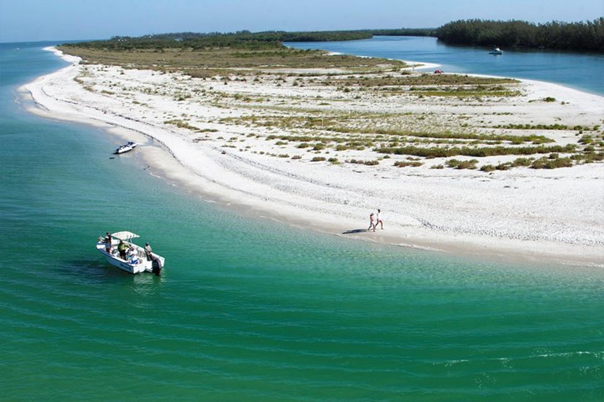 Naples Dolphin Watch and Shelling Cruise - Image 6