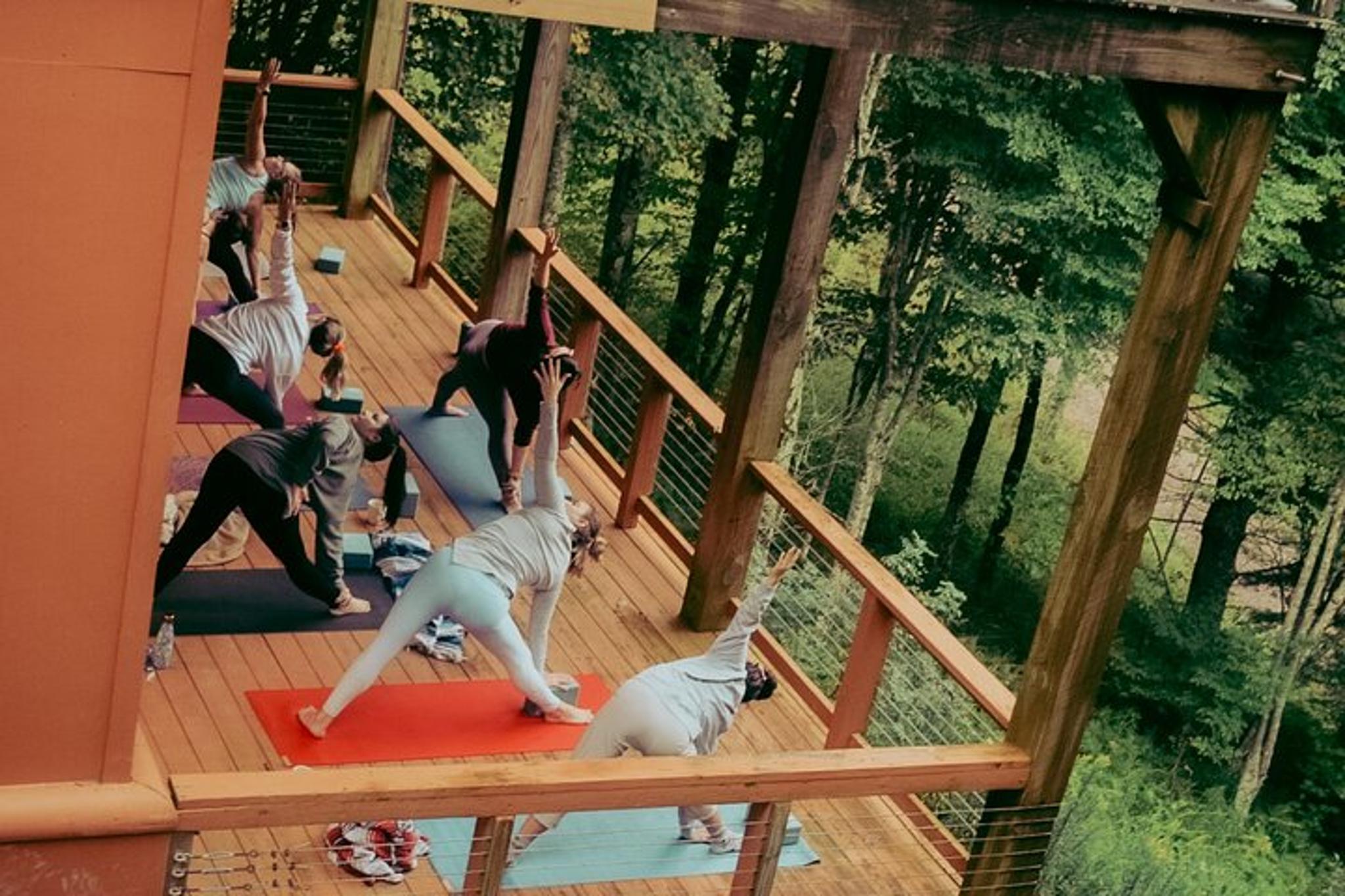 Asheville Yoga and Sound Healing Experience - Image 4