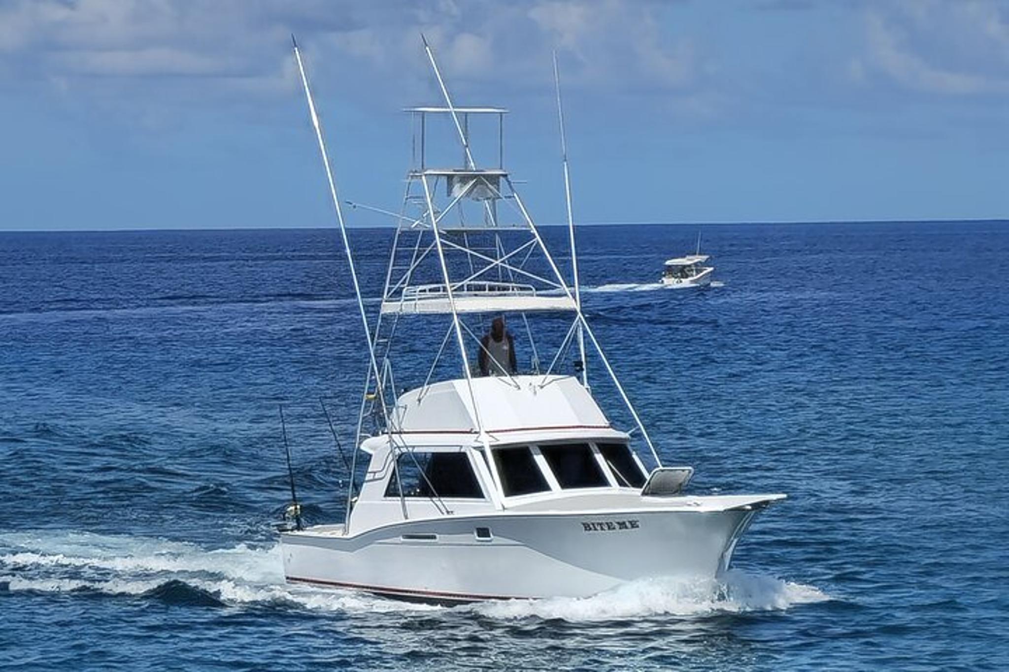 Kona Deep Sea Fishing Experience - Image 4