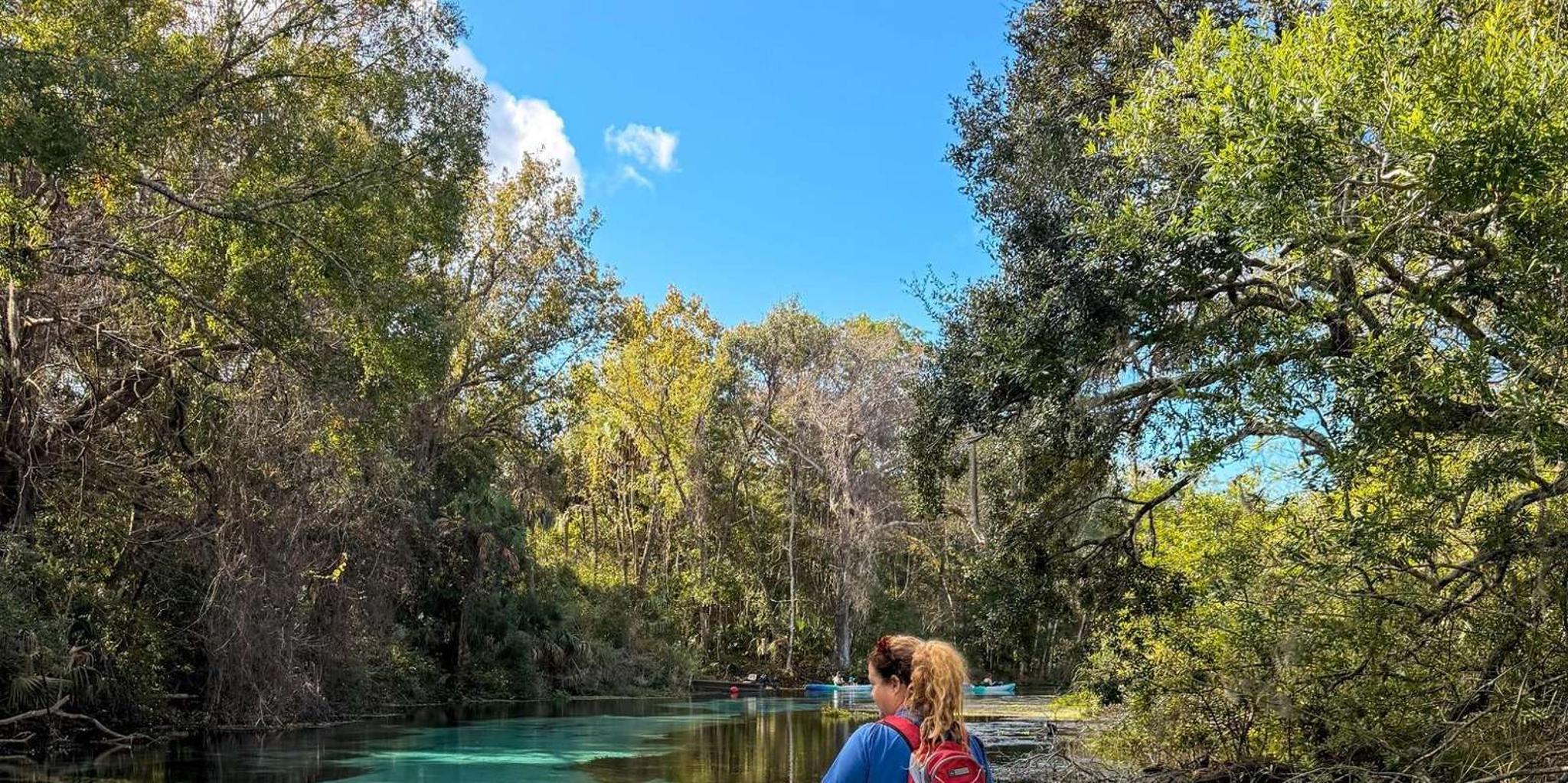 Sarasota Paddleboard Rental at Turtle Beach - Image 2