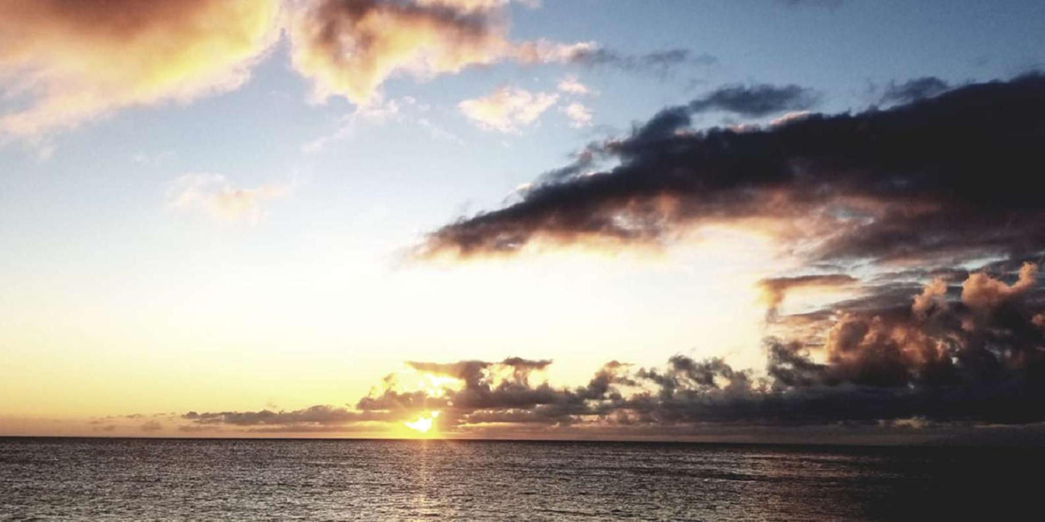 Hilo Night Dive for Certified Divers - Image 1