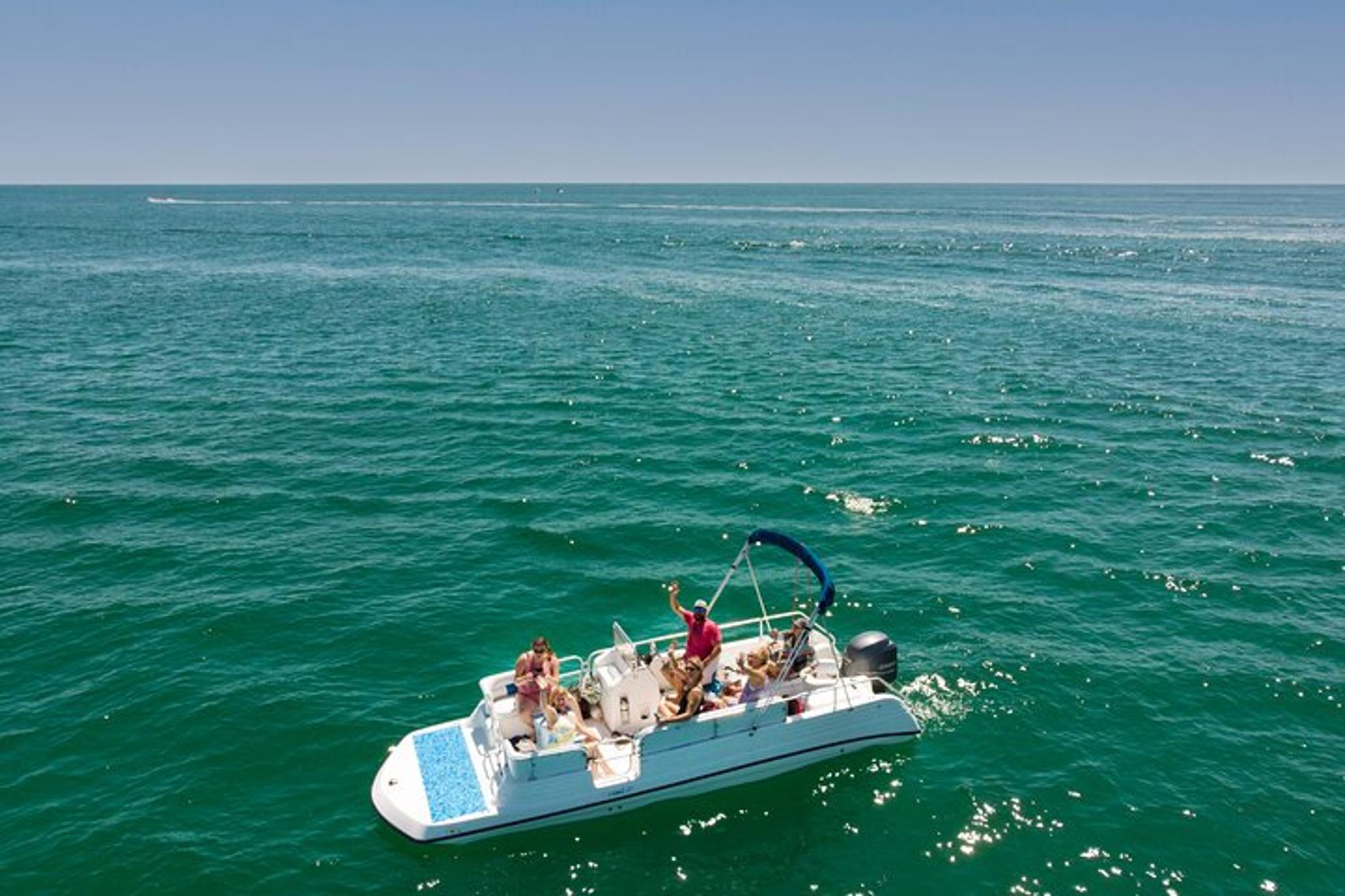 Panama City Beach Dolphin Tour Guided by Marine Biologist 2 hr - Image 6