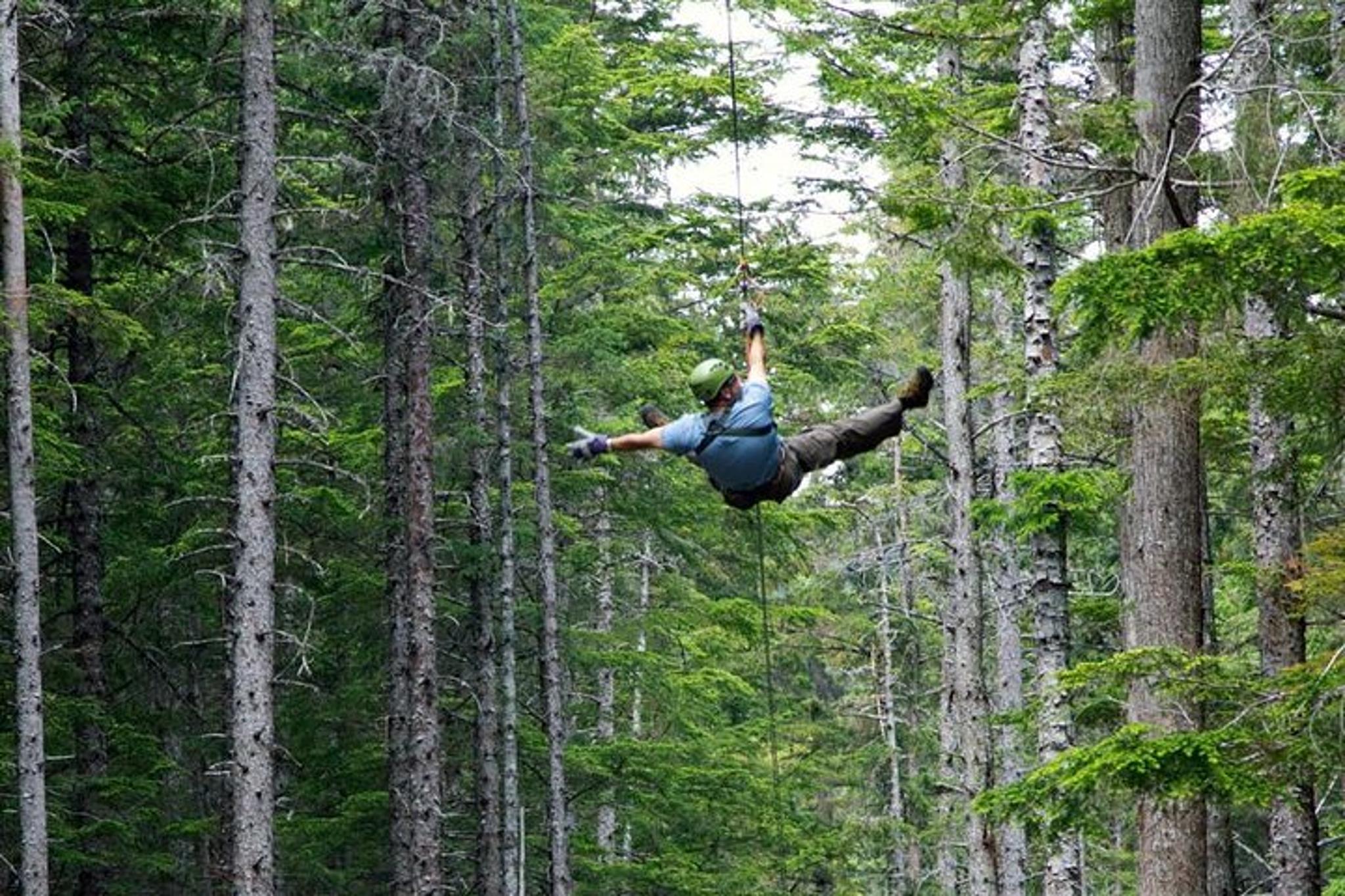 Grizzly Falls Ziplining Expedition in Alaska - Image 4