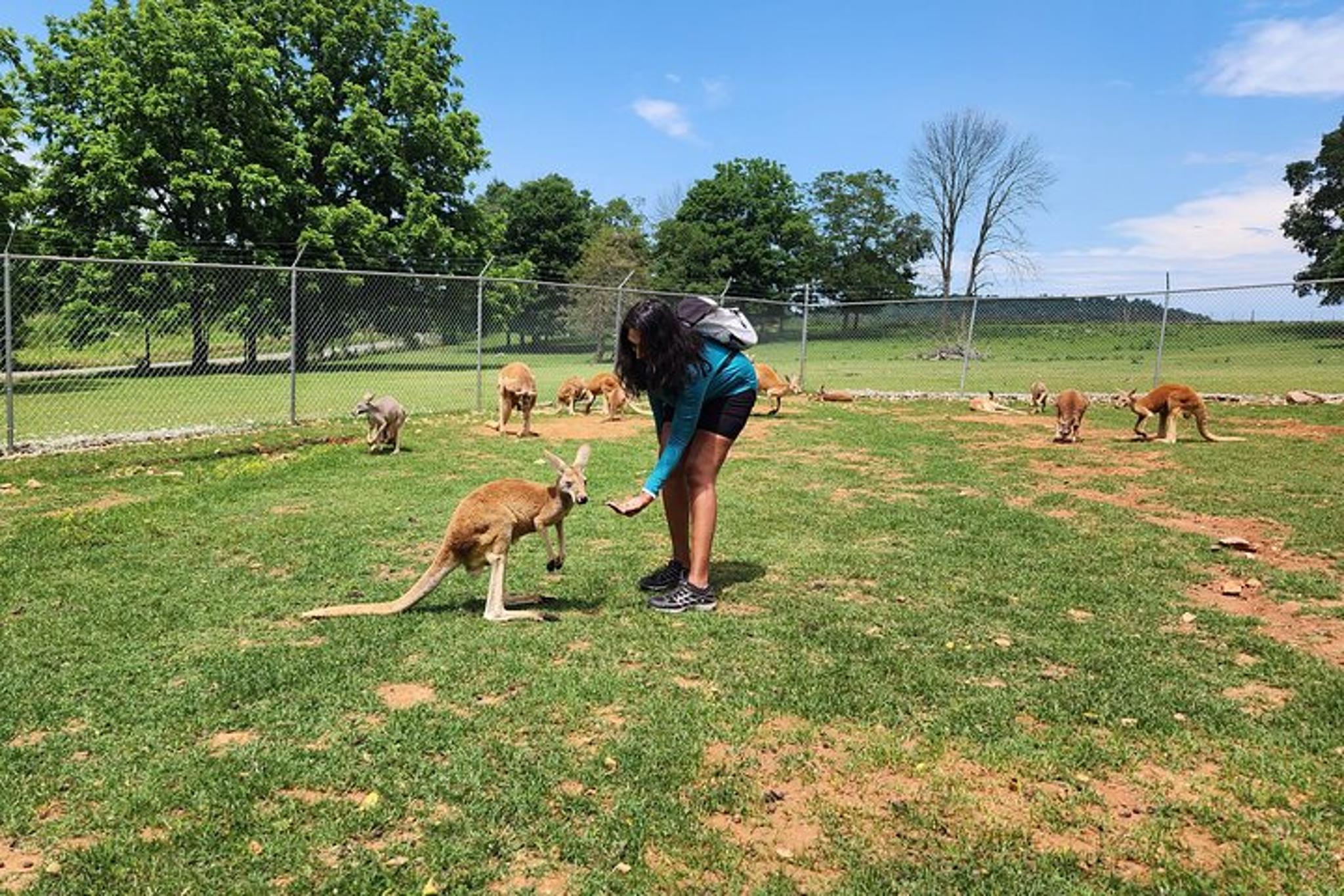 Nashville Kentucky Caves and Kangaroos Day Tour - Image 5