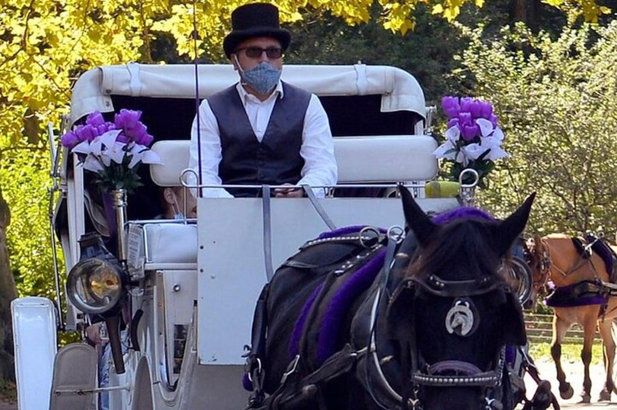 New York City Central Park Horse and Carriage Ride - Image 2
