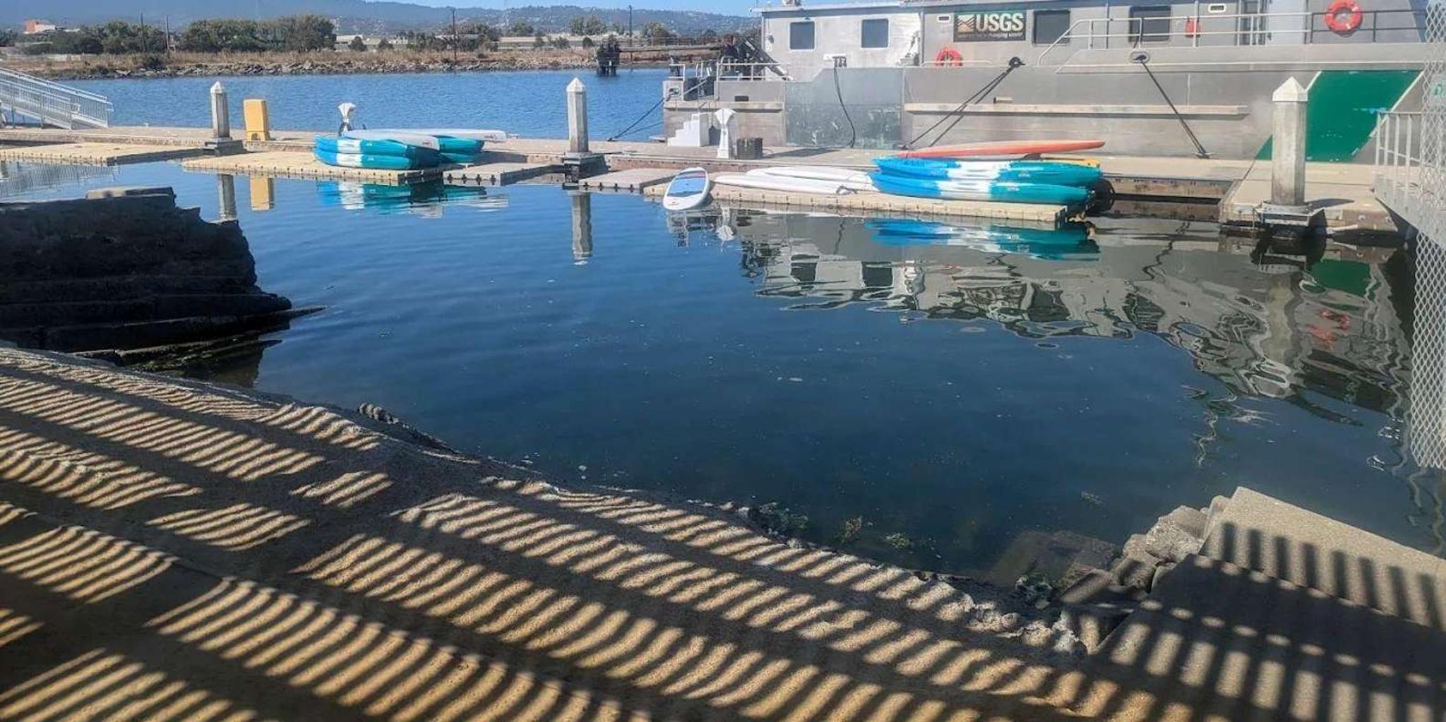 Redwood City Stand-Up Paddleboard Rental 2 hr - Image 4